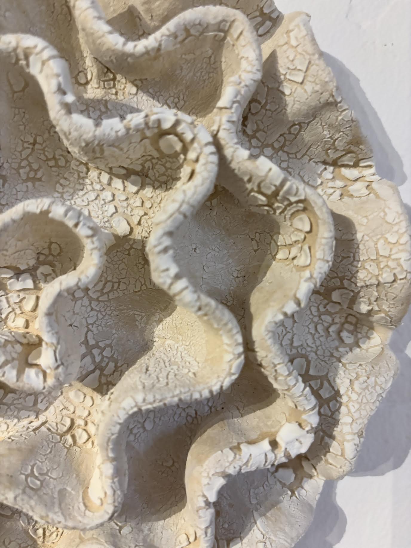 Væg koral nr. 04295