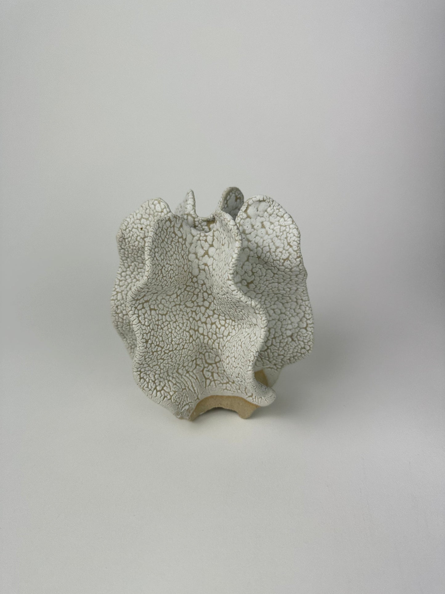 Mini chalk sea sculpture no 06114