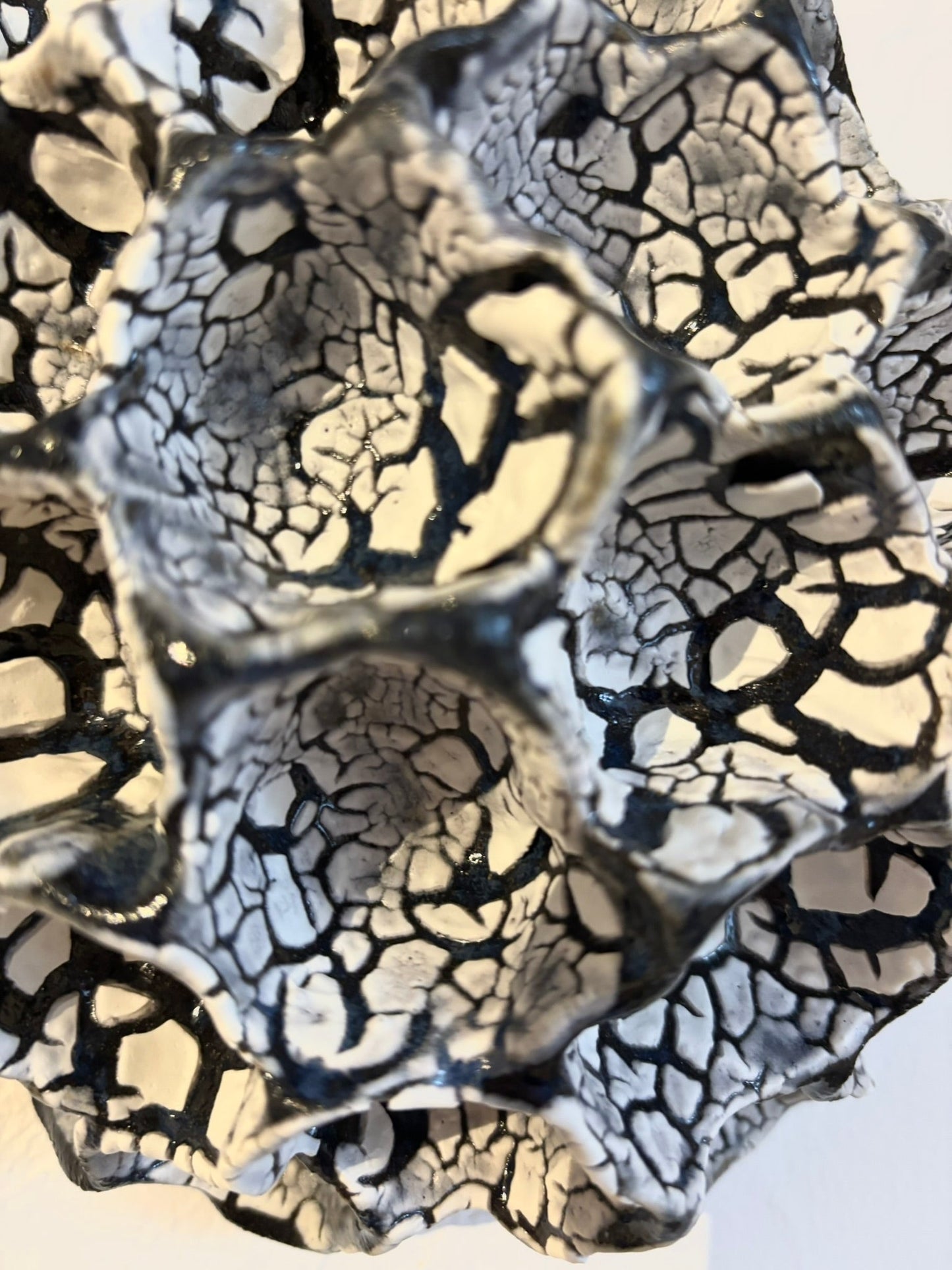 Væg koral nr. 04297