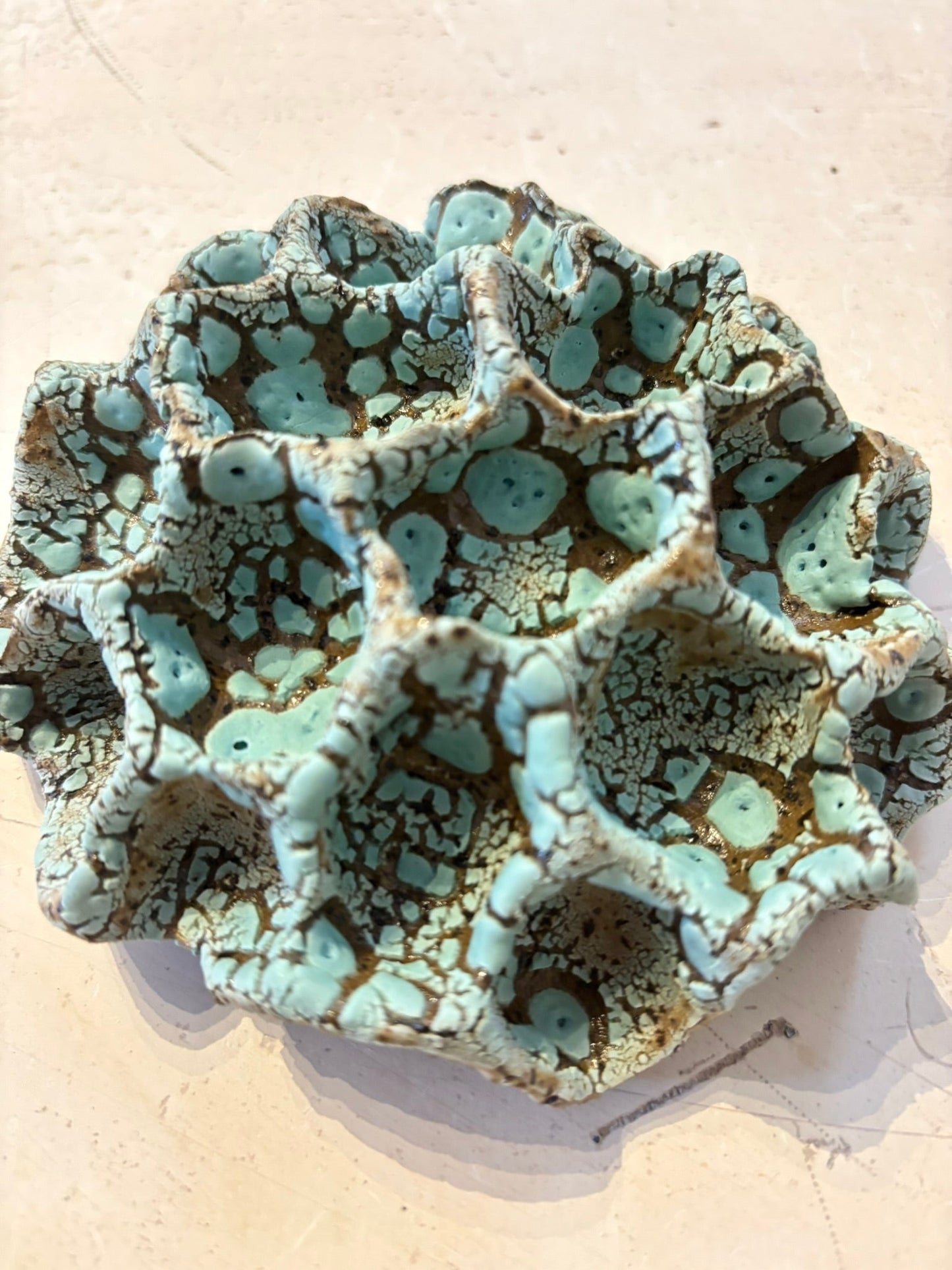 Wall coral no 04212