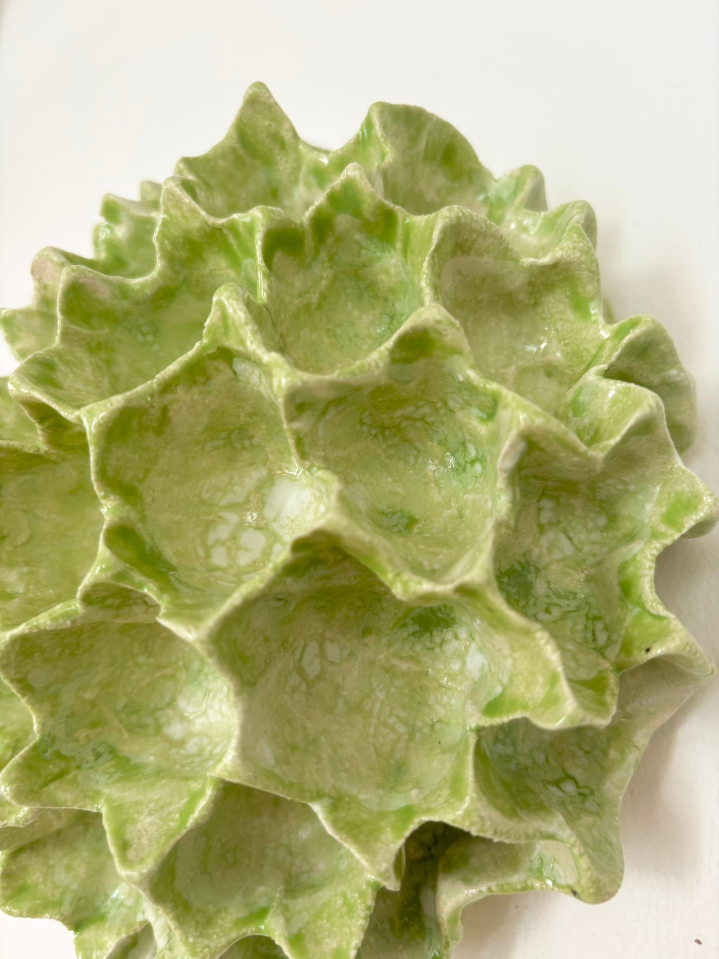 Væg koral no. 04305