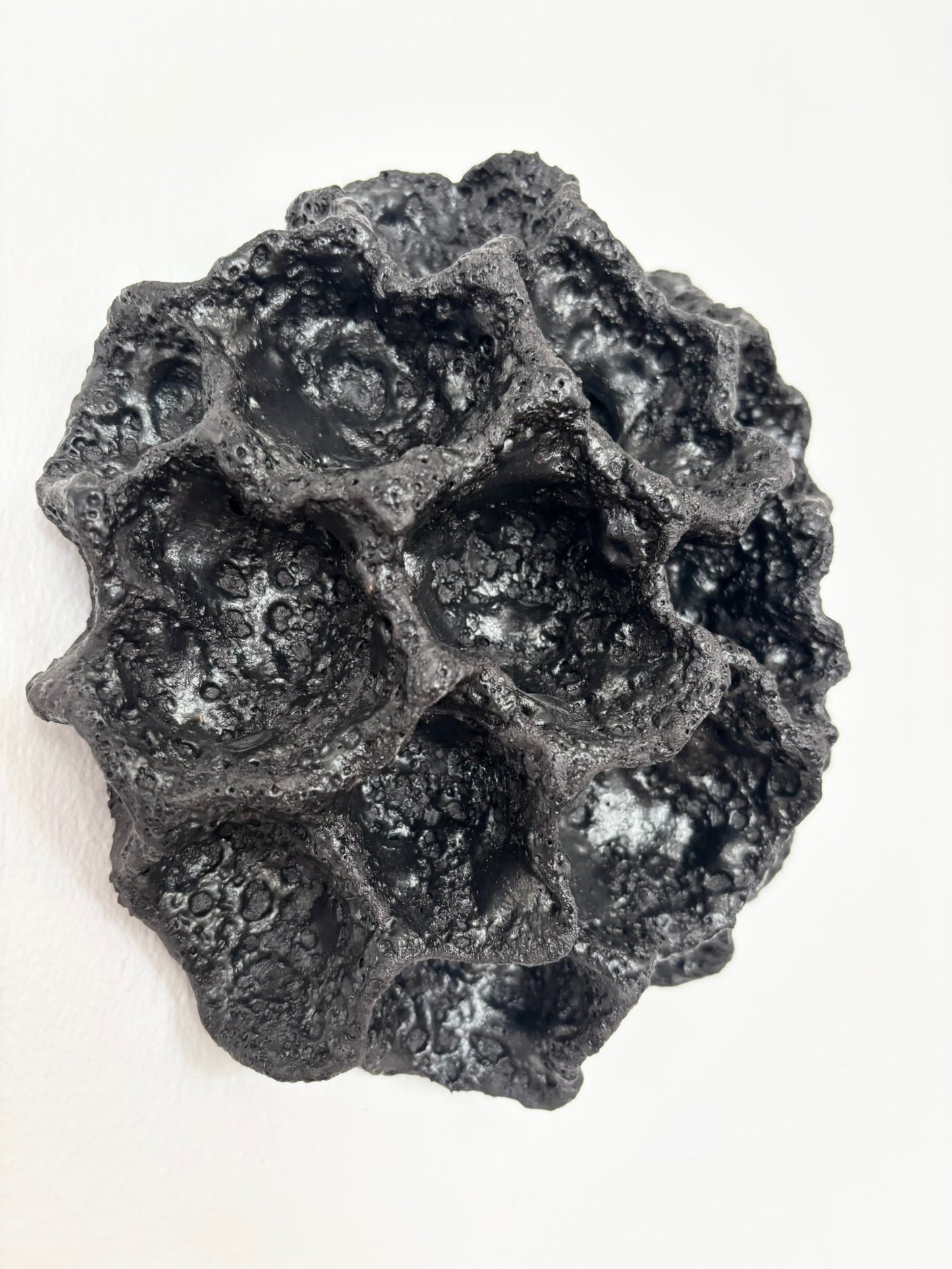 Væg koral no. 04219