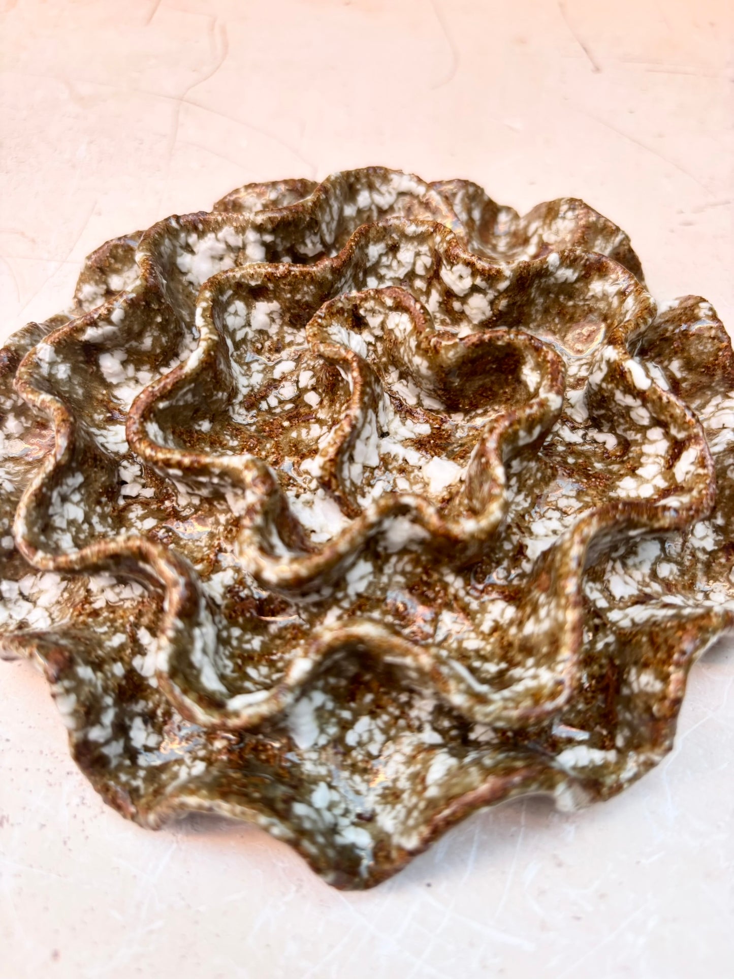 Wall coral no 04260