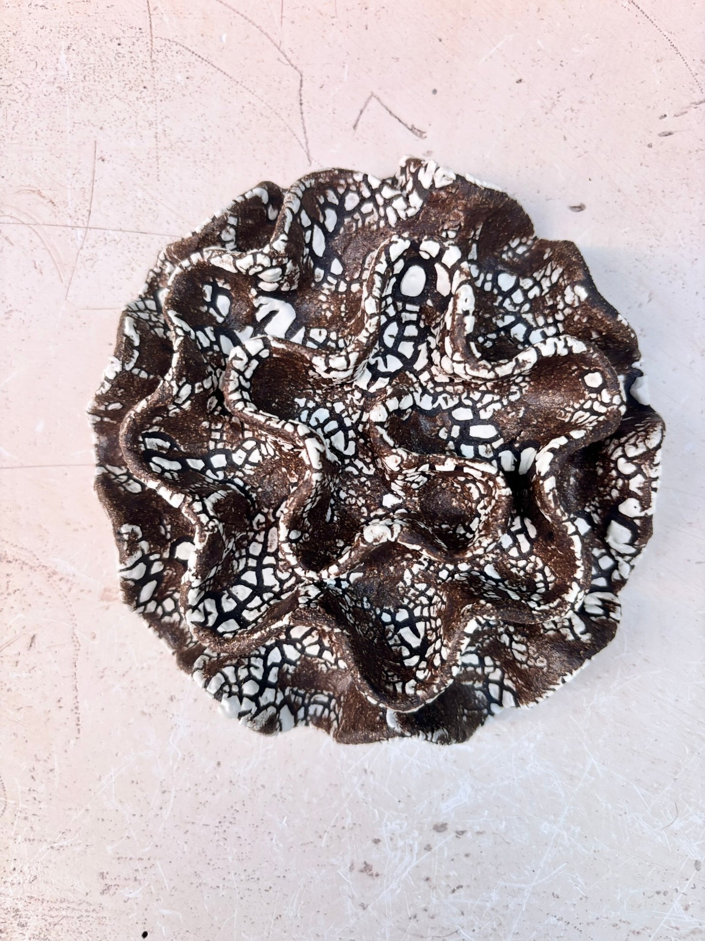 Wall coral no 04260