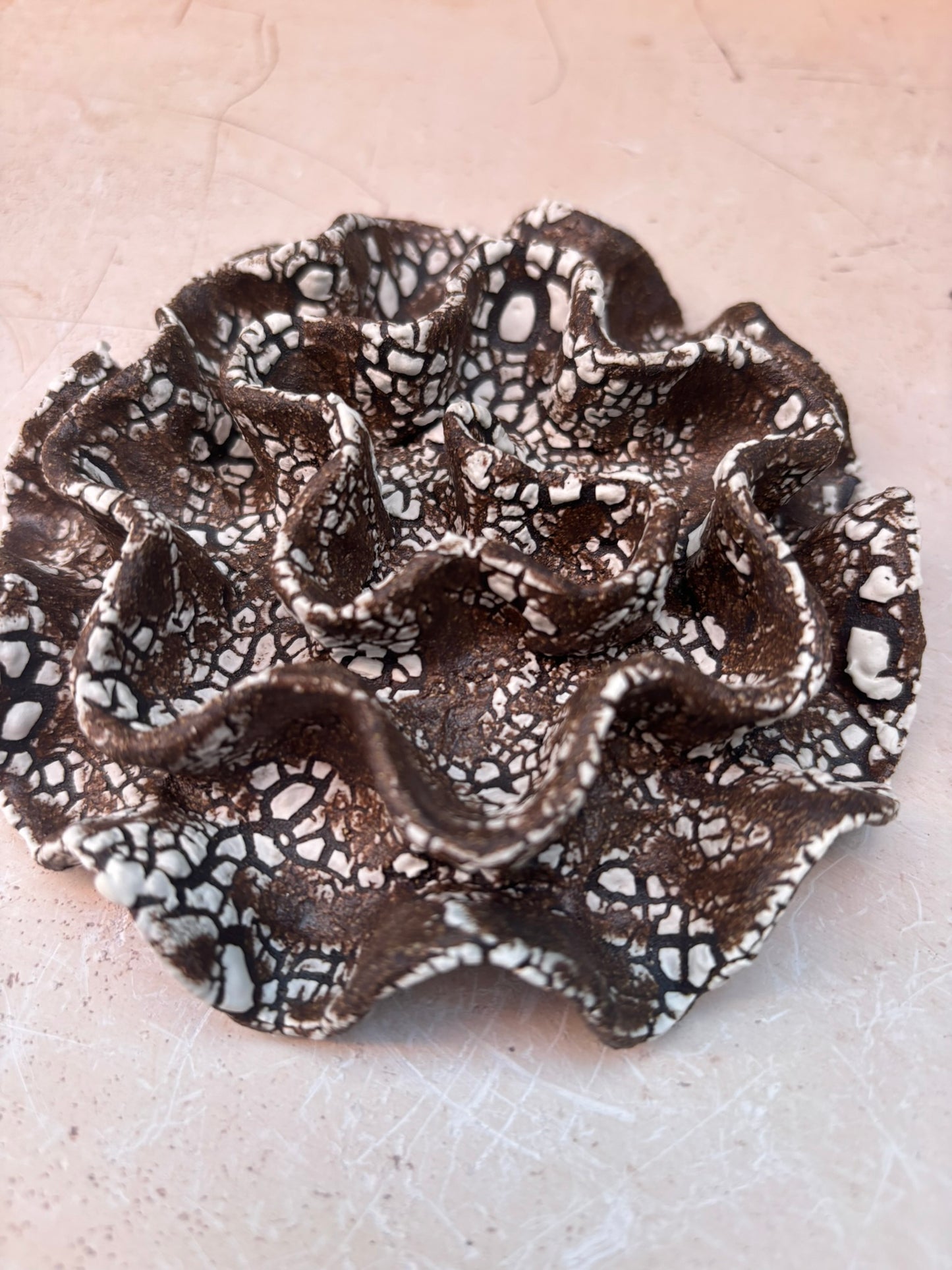 Wall coral no 04260