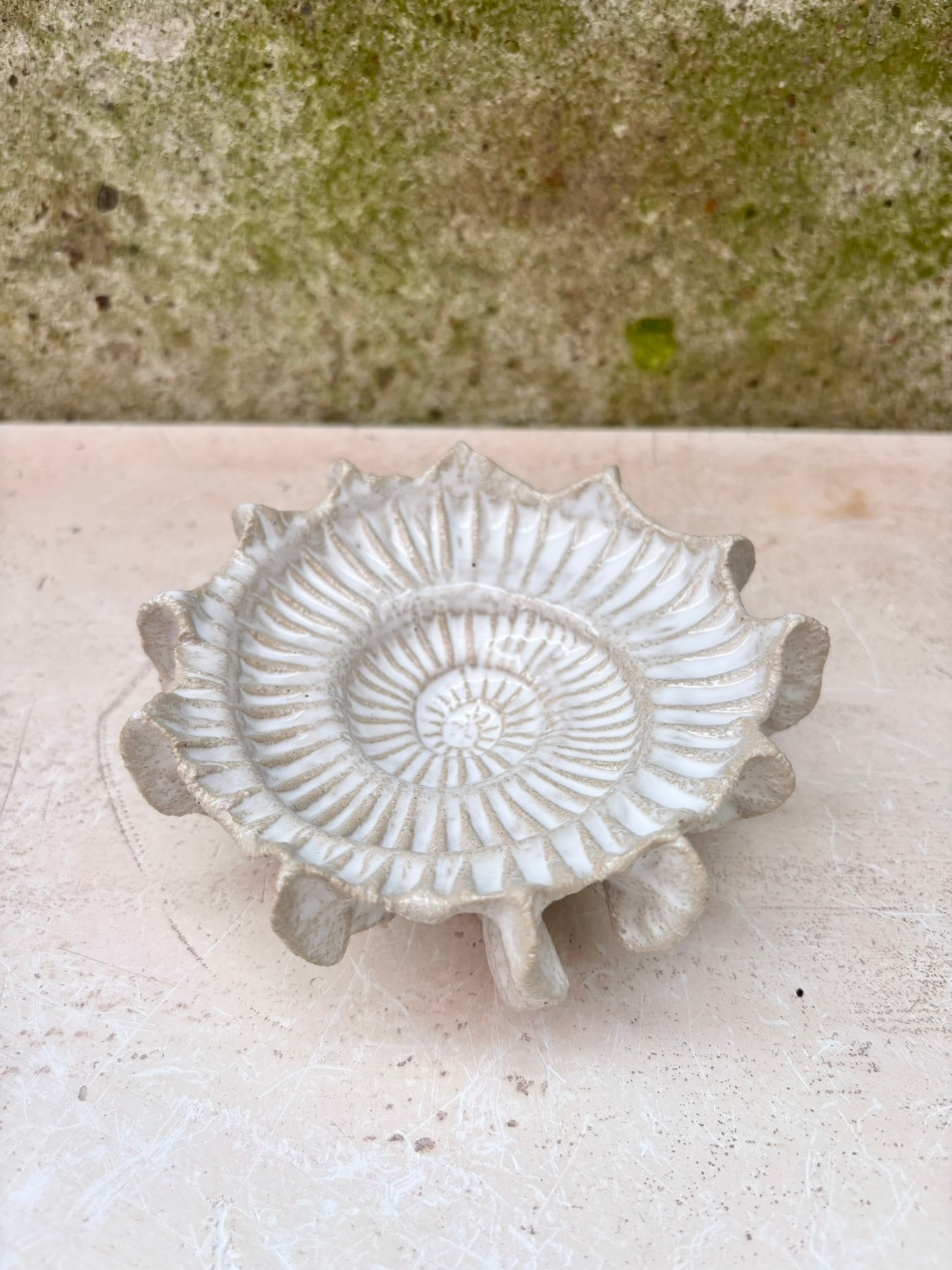 Ammonit nr. 0573
