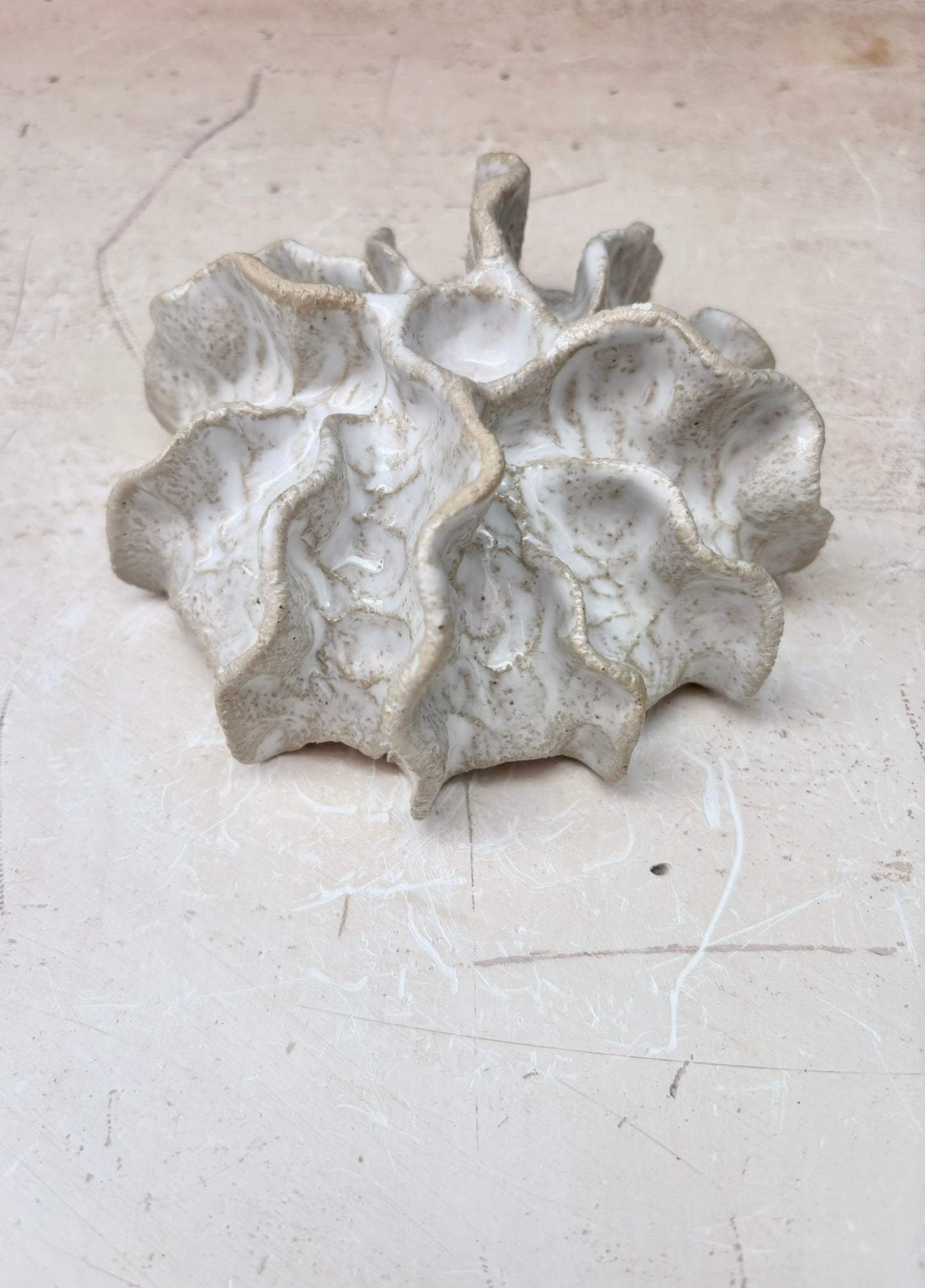 Ammonit nr. 0573