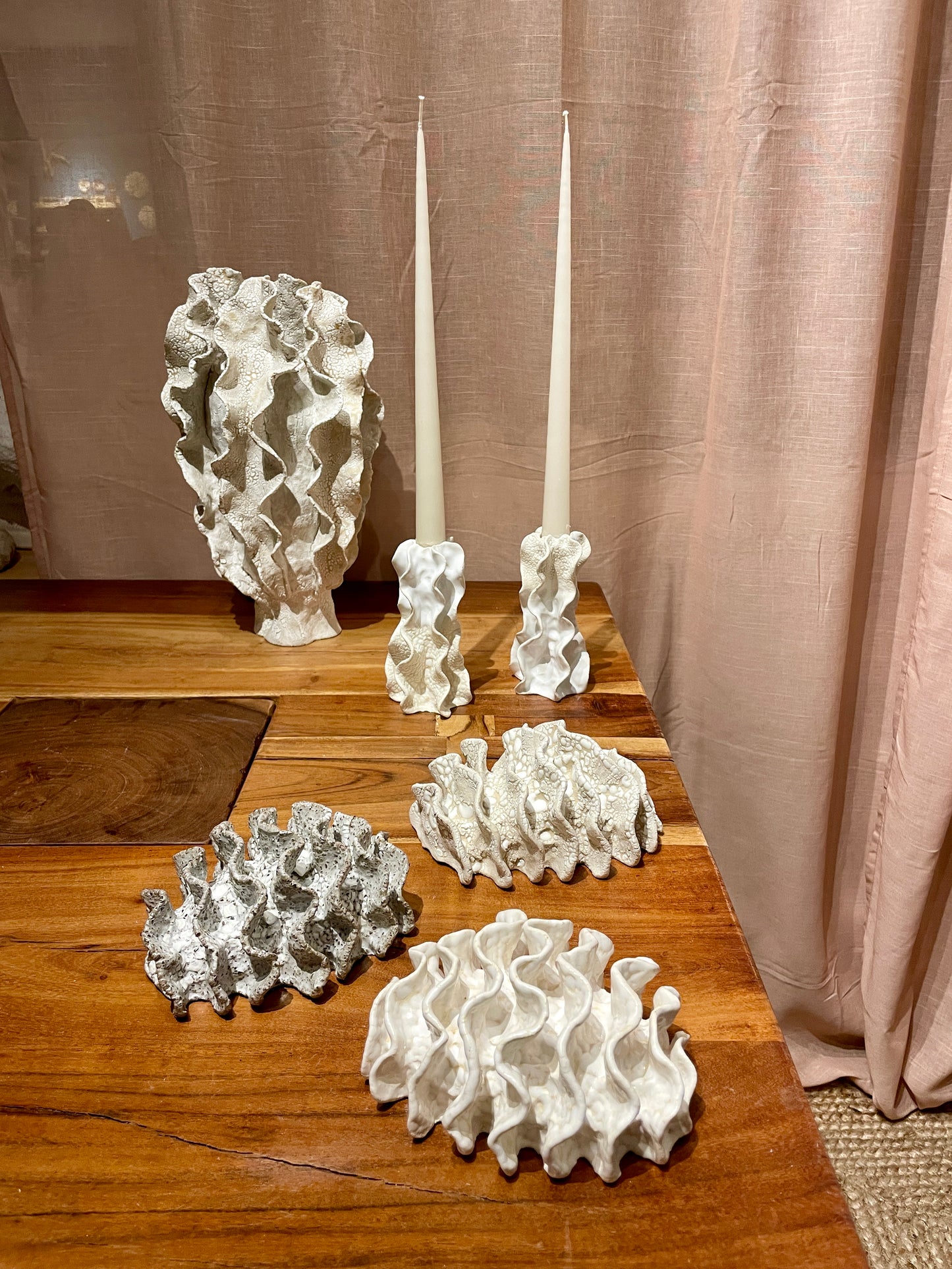 NEWS Wall coral 04377