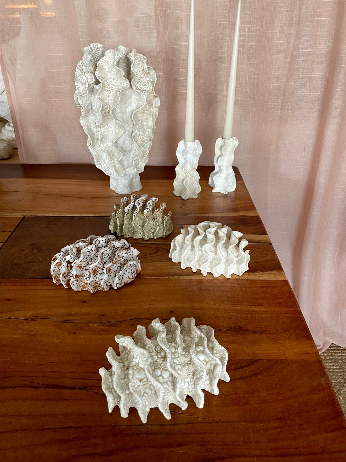 NEWS Wall coral 04380