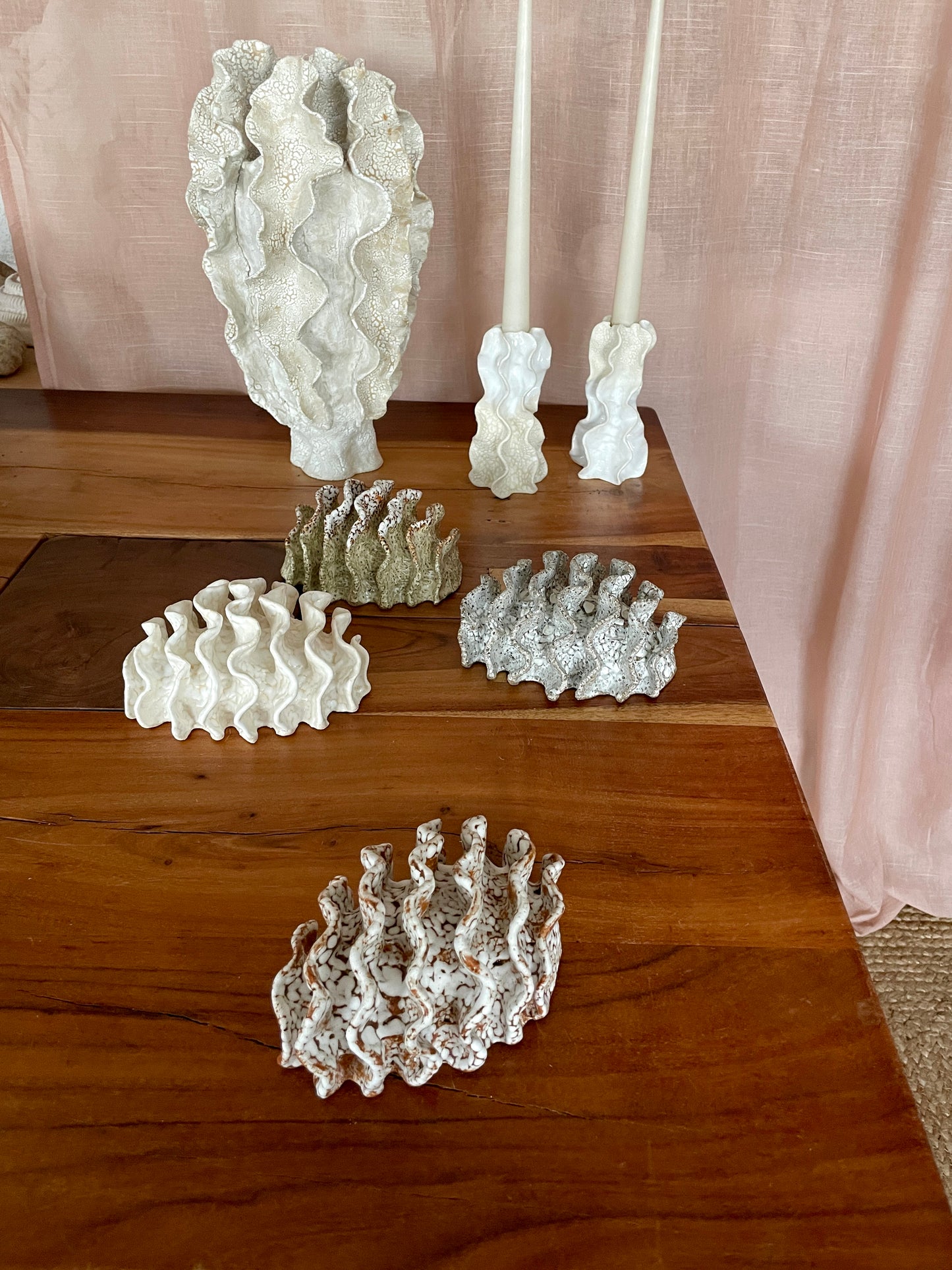 NEWS Wall coral 04381