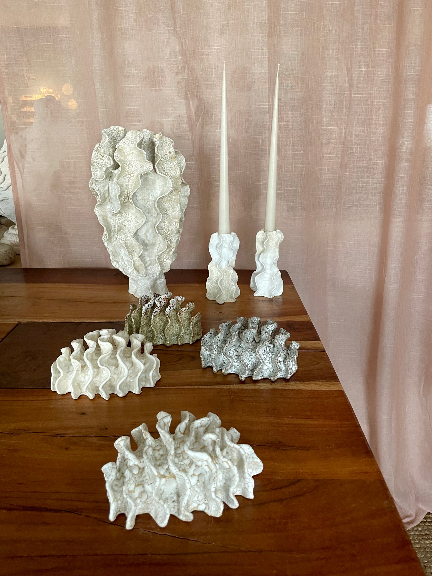 NEWS Wall coral 04379