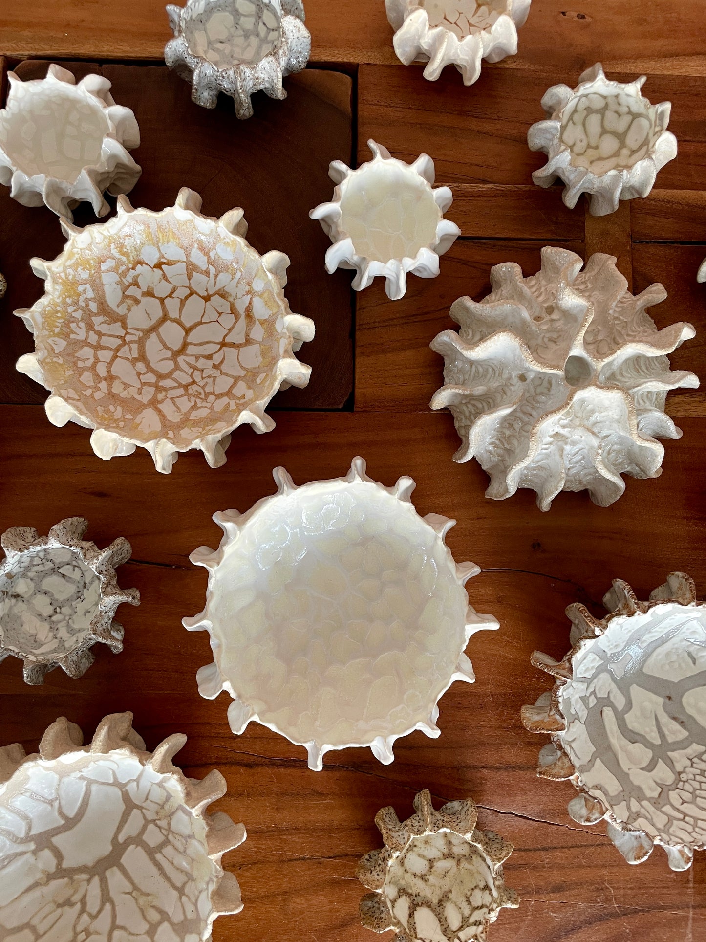 NEWS Kridthavs skål 0386