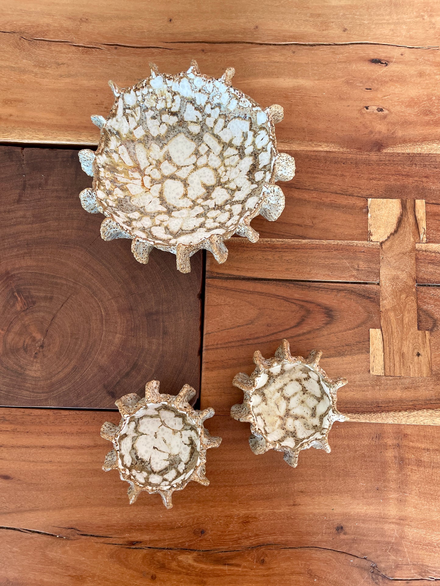 Nyheder Kridthavs skåle 0391