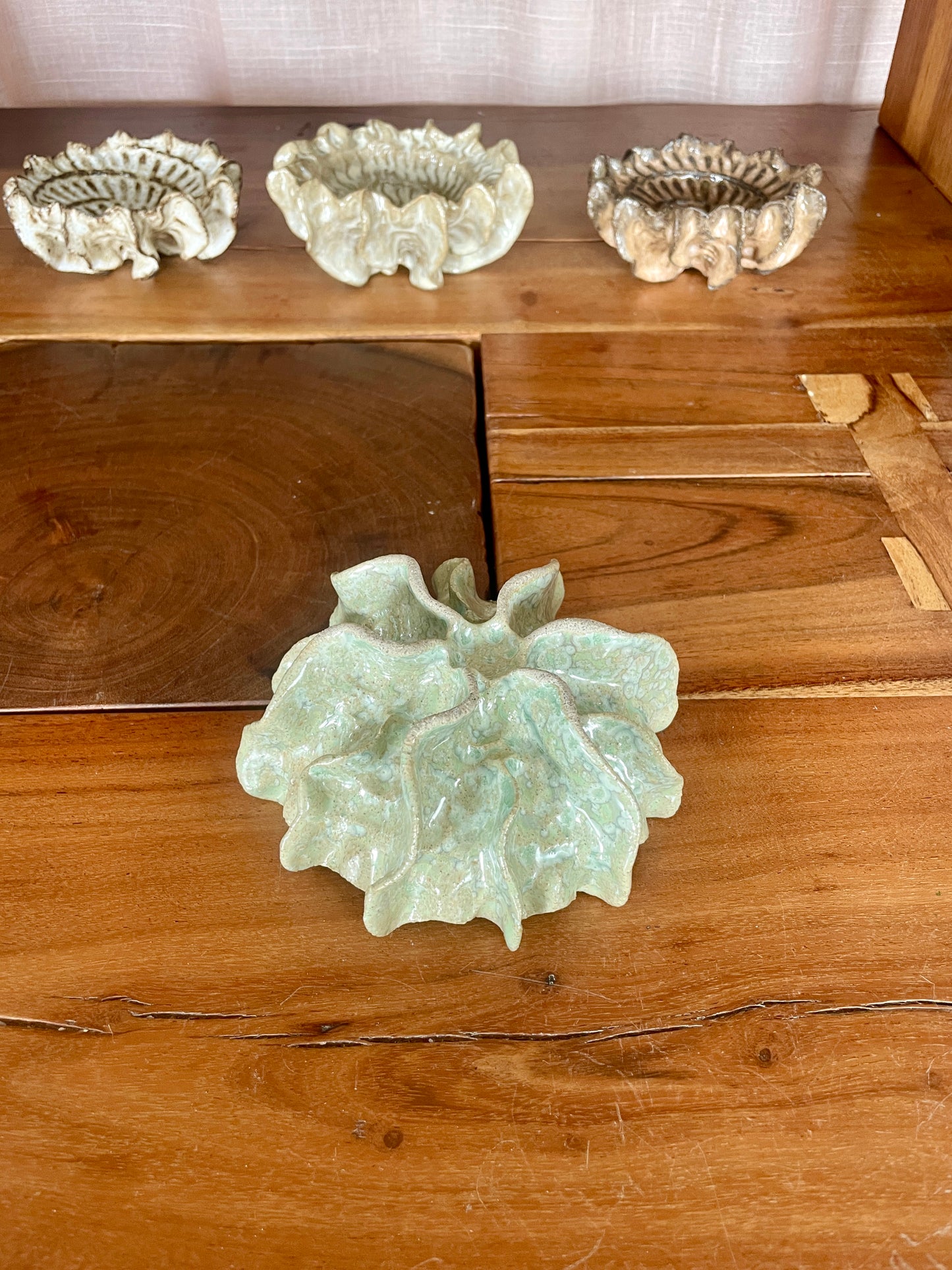 Ammonite 0585