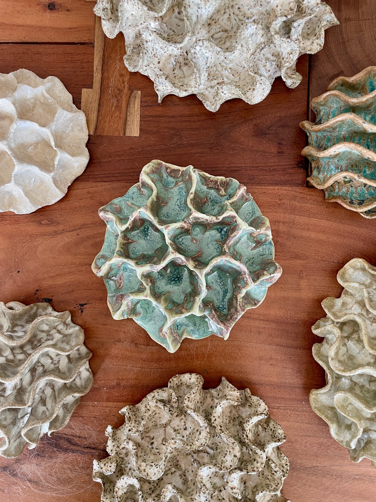 Wall coral 04432