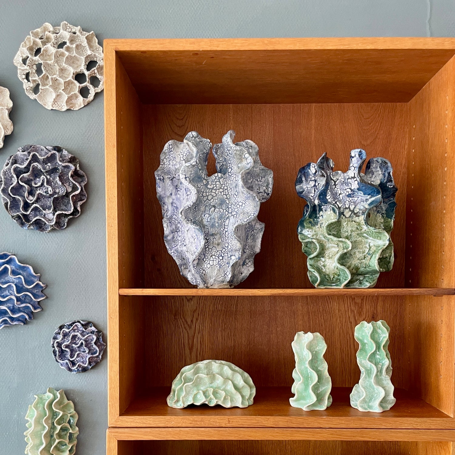 Coral collection