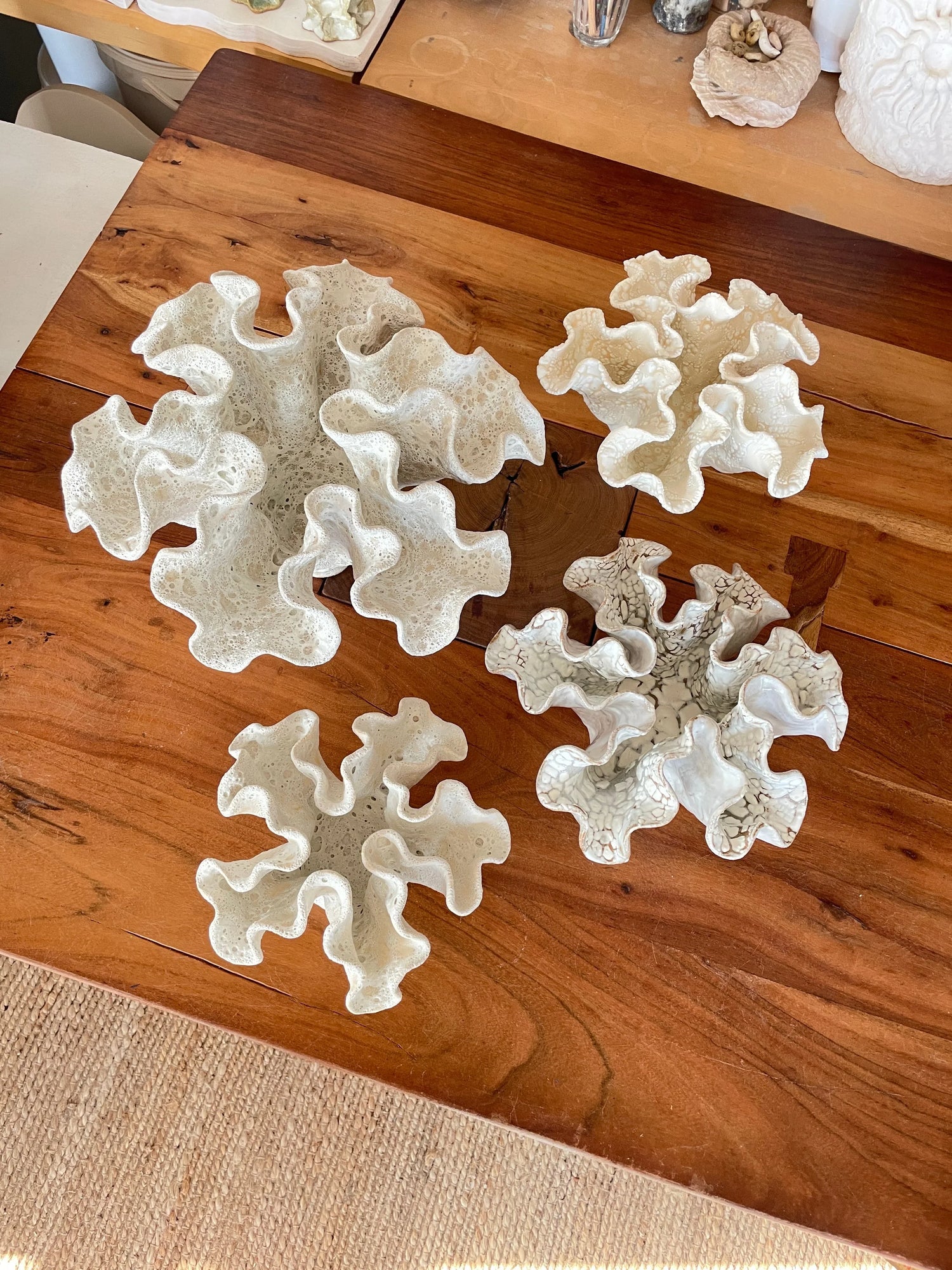 Soft coral