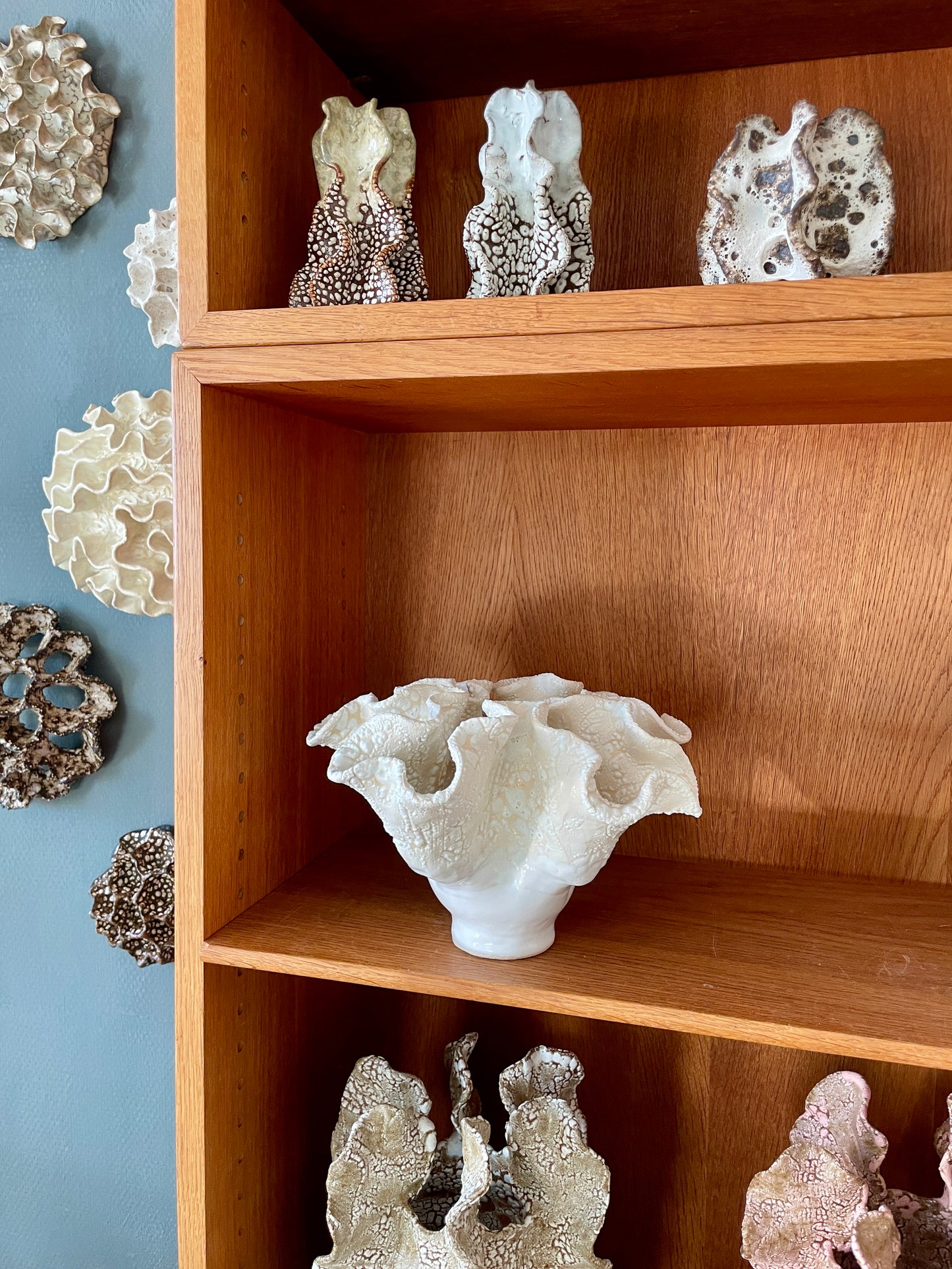 Soft coral 0202