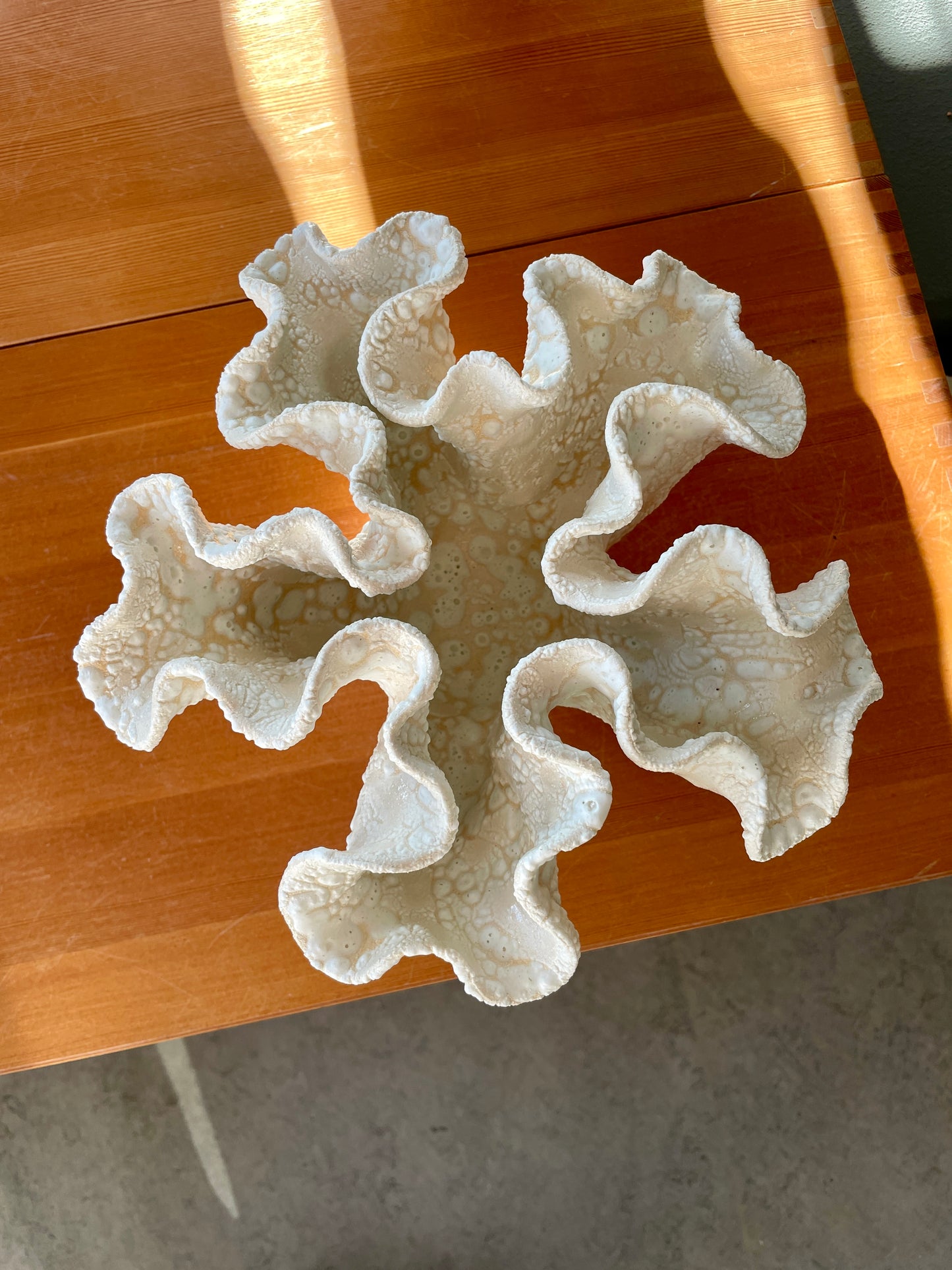 Soft coral 0202