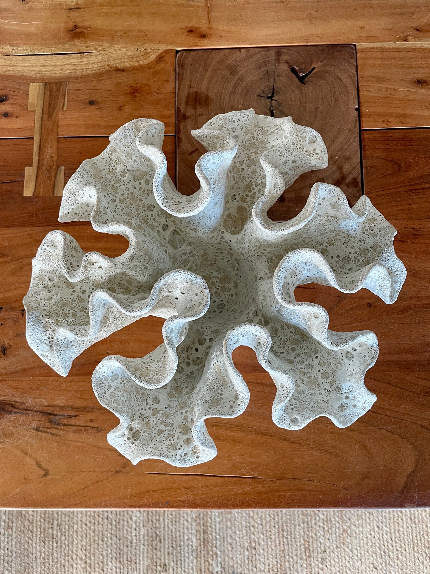 Soft coral 0201