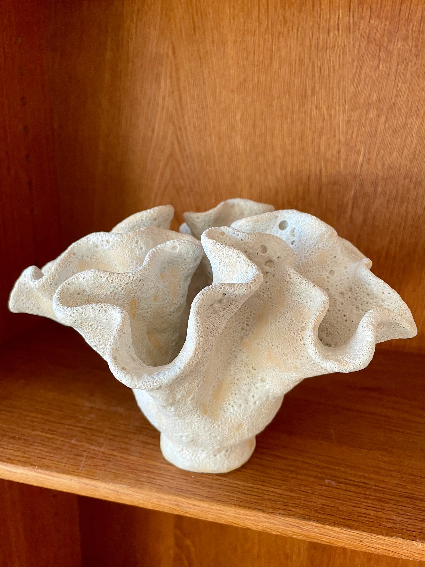 Soft coral 0203