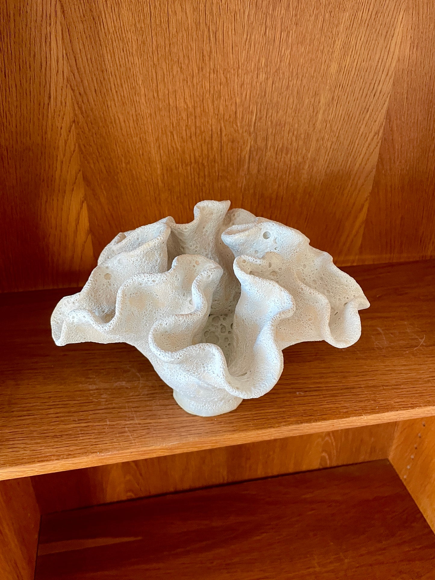 Soft coral 0203