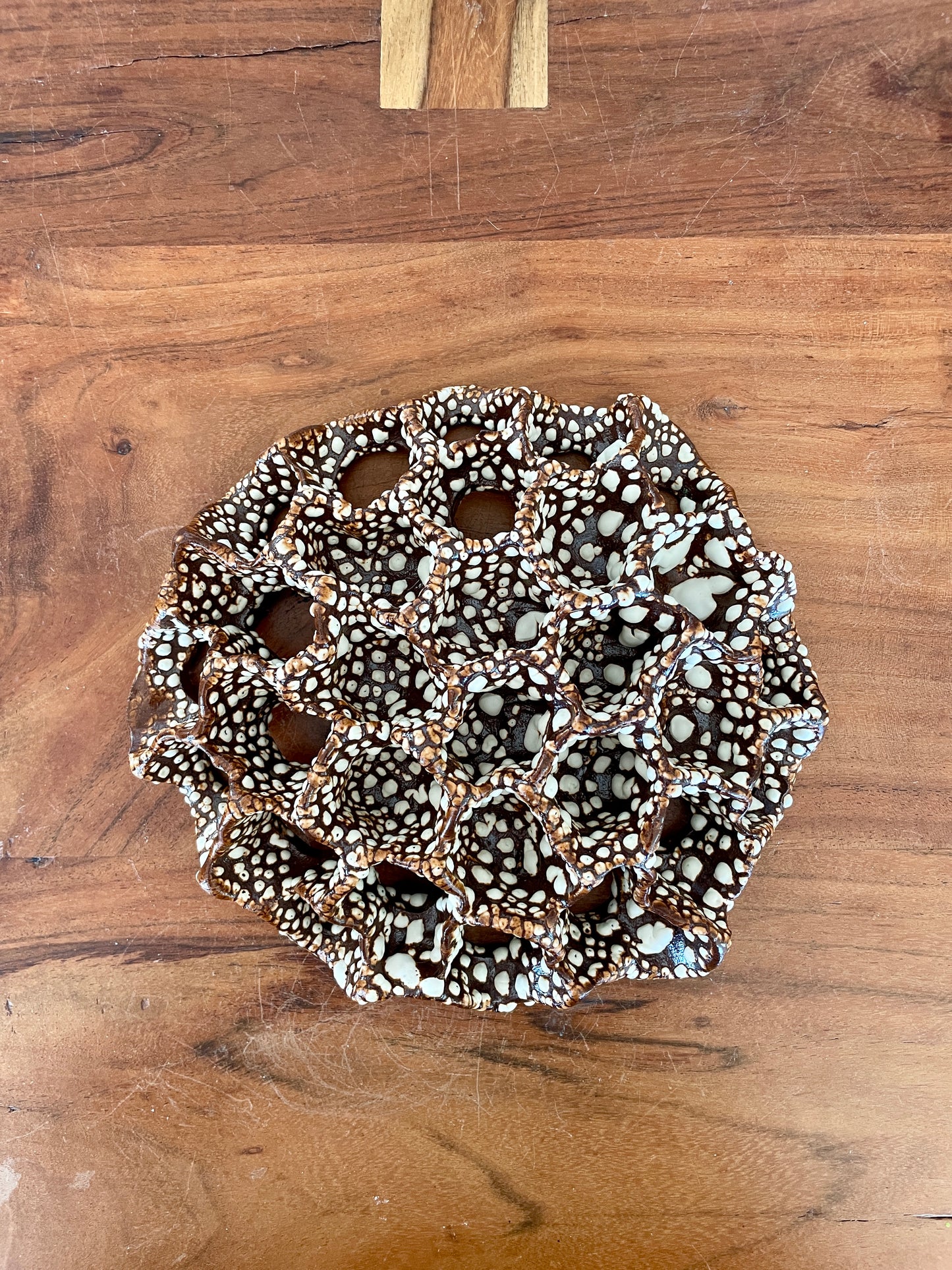 Wall coral 04479