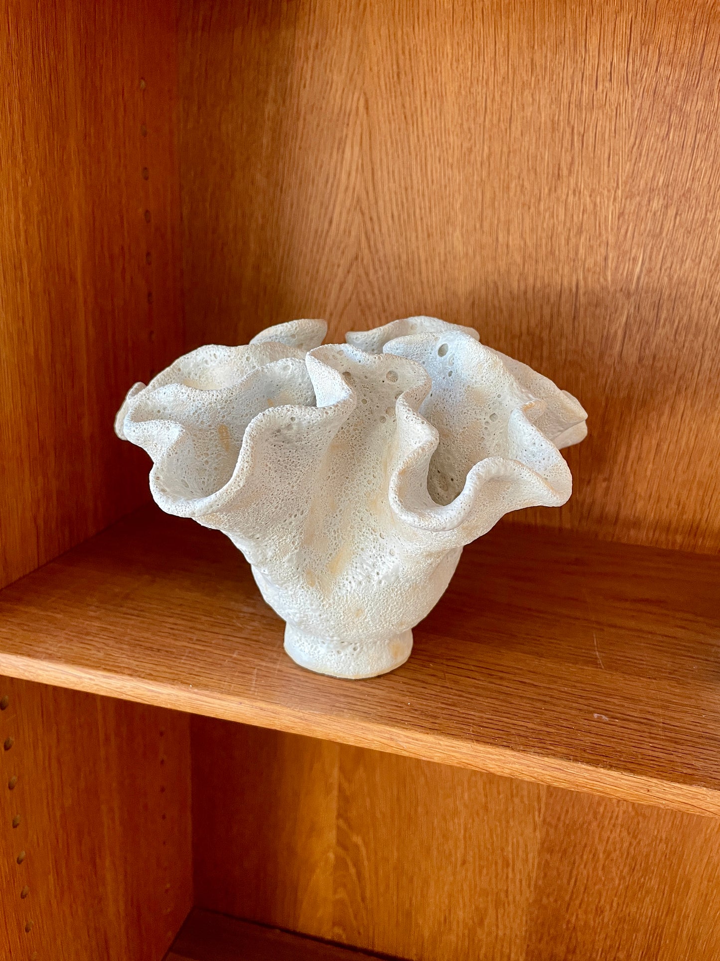 Soft coral 0203