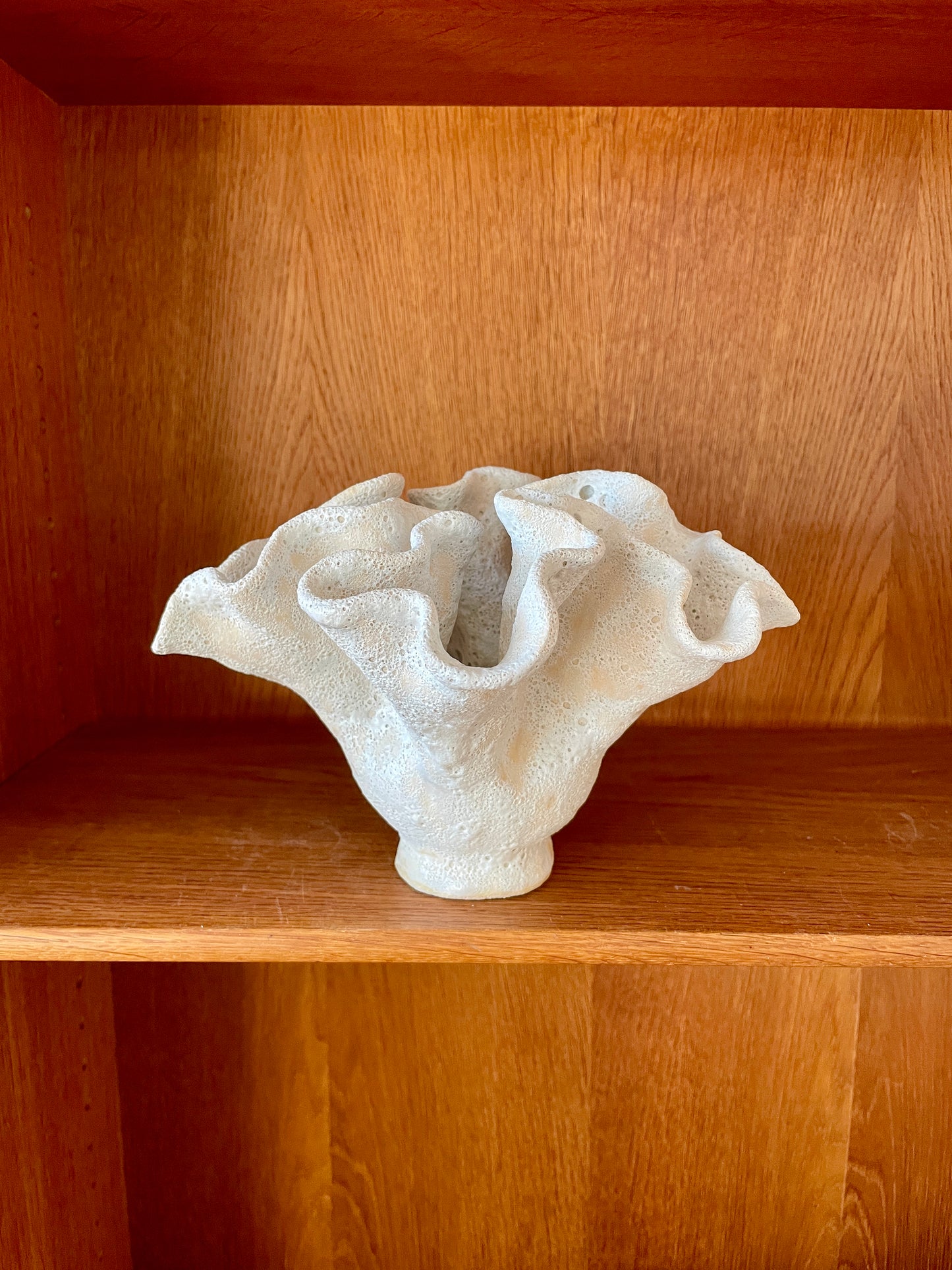 Soft coral 0203