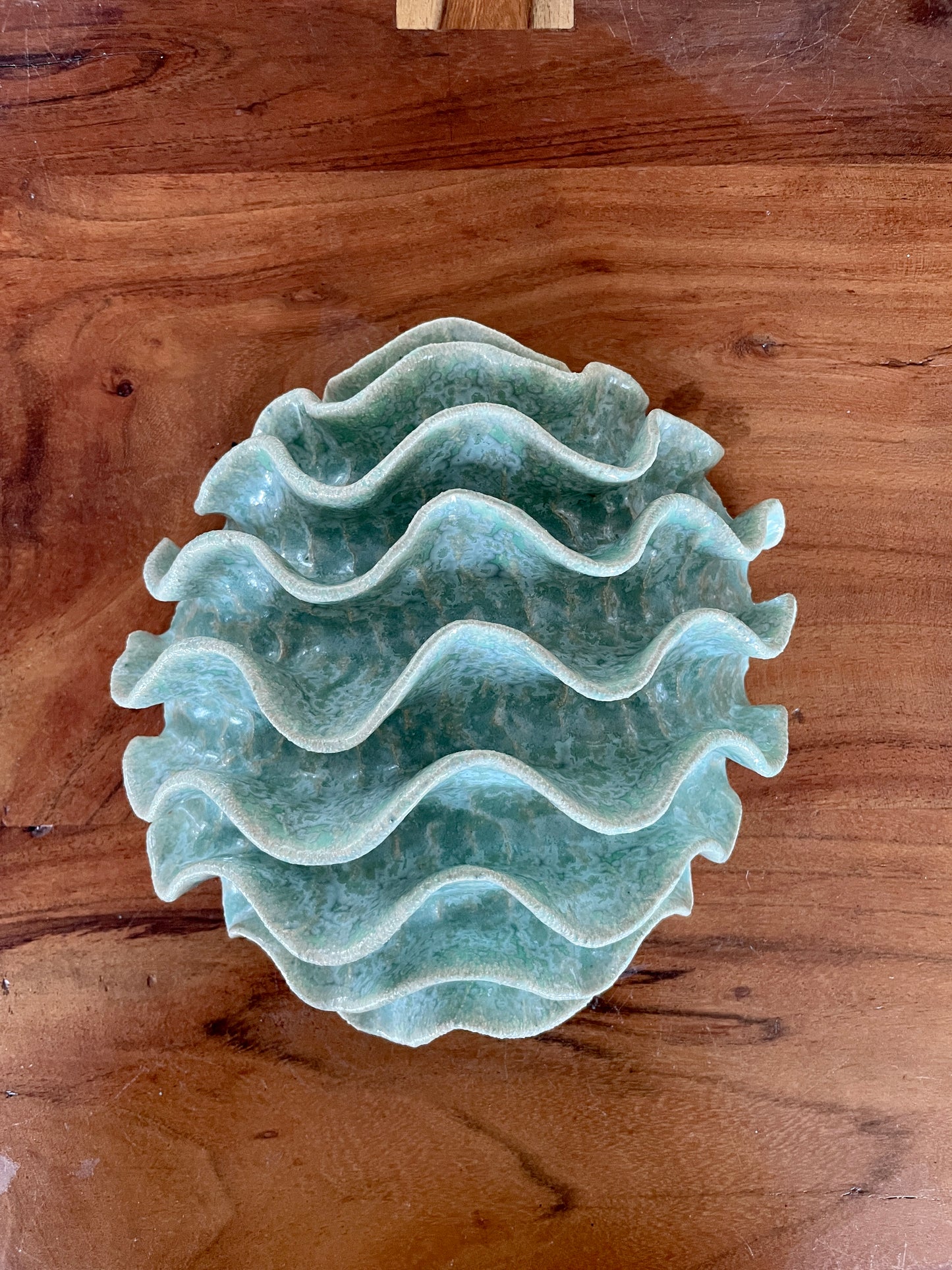 Wall coral 04478