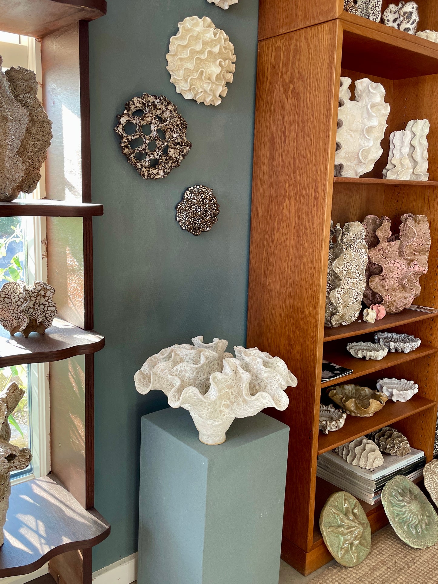 Soft coral 0201