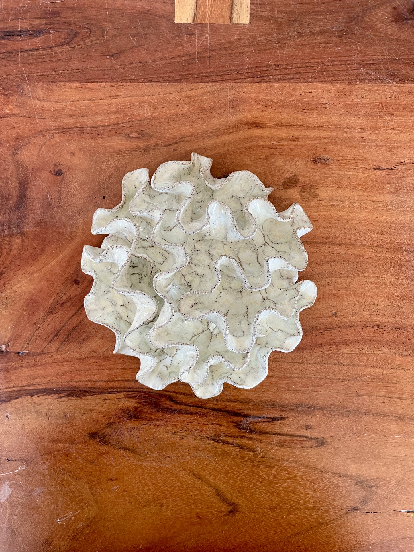Væg koral 04452