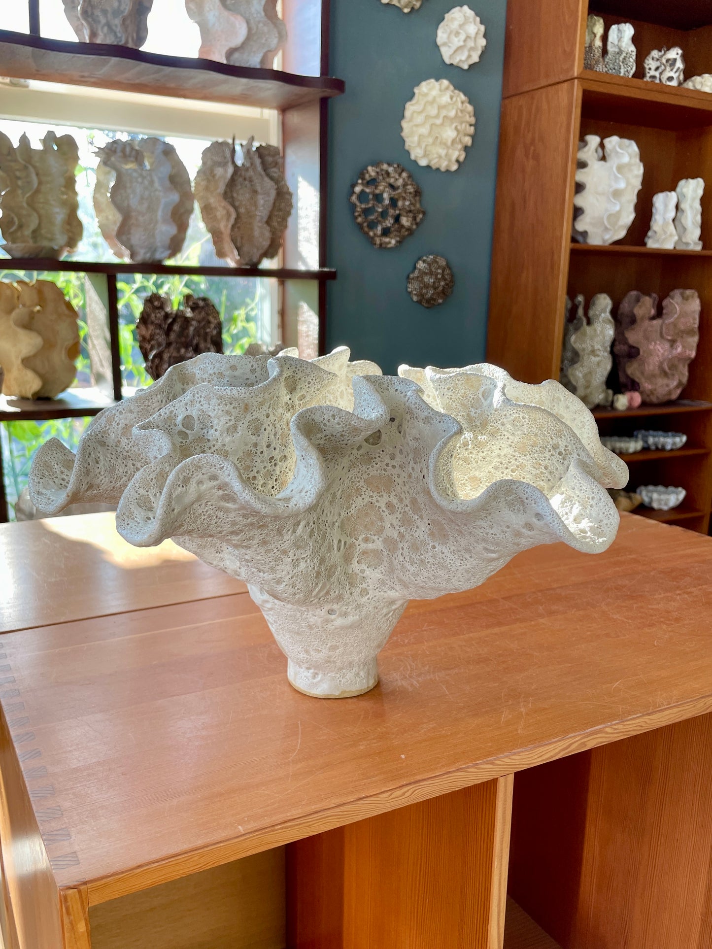 Soft coral 0201