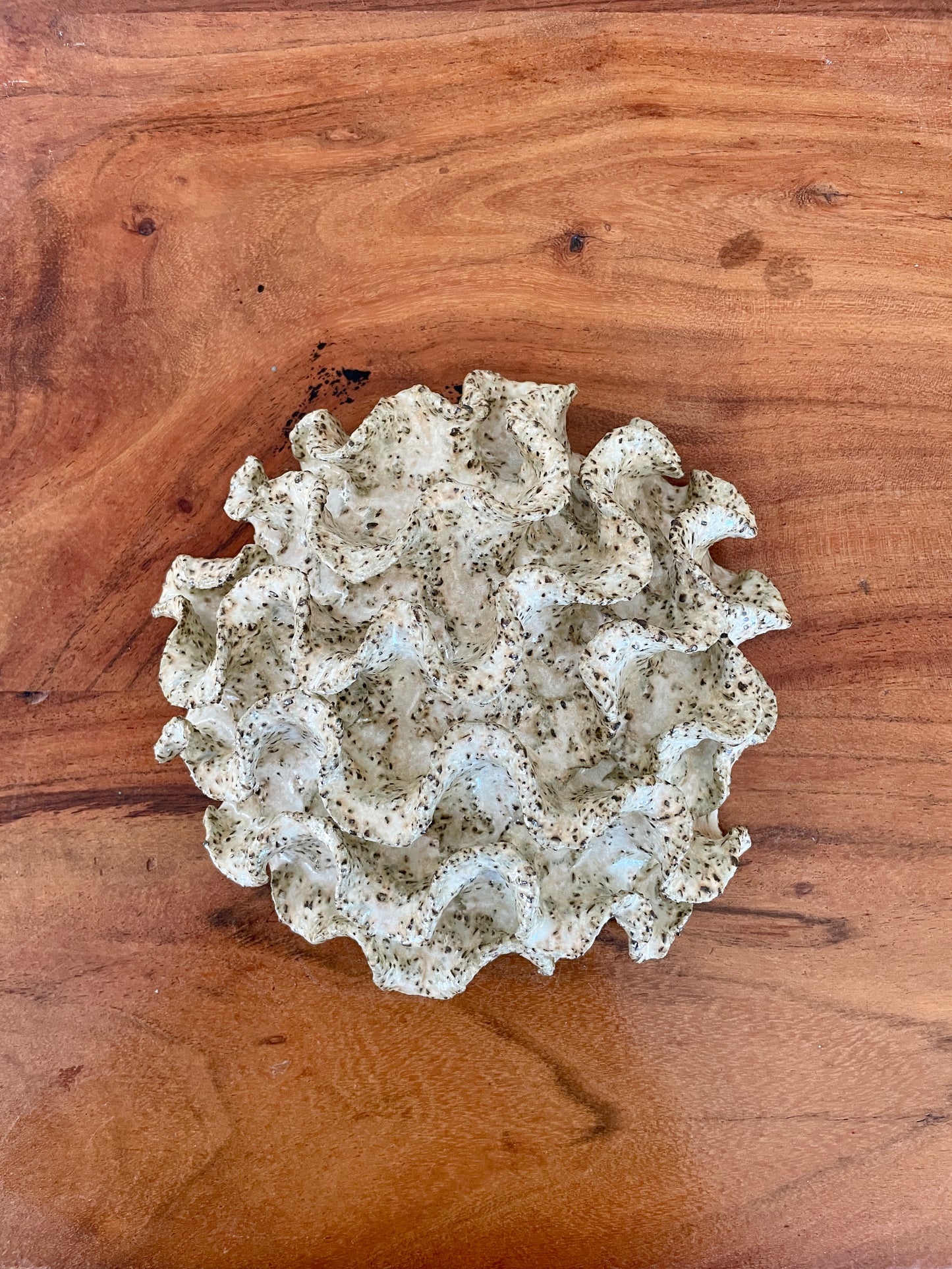 Væg koral 04438