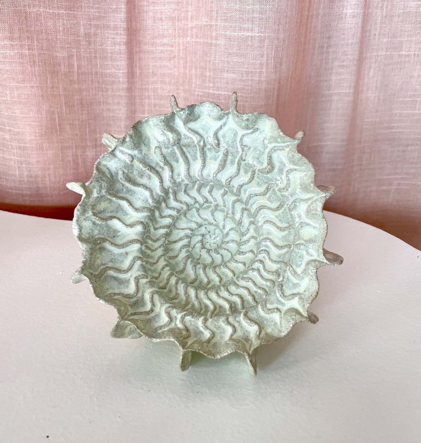 Ammonite no 0557