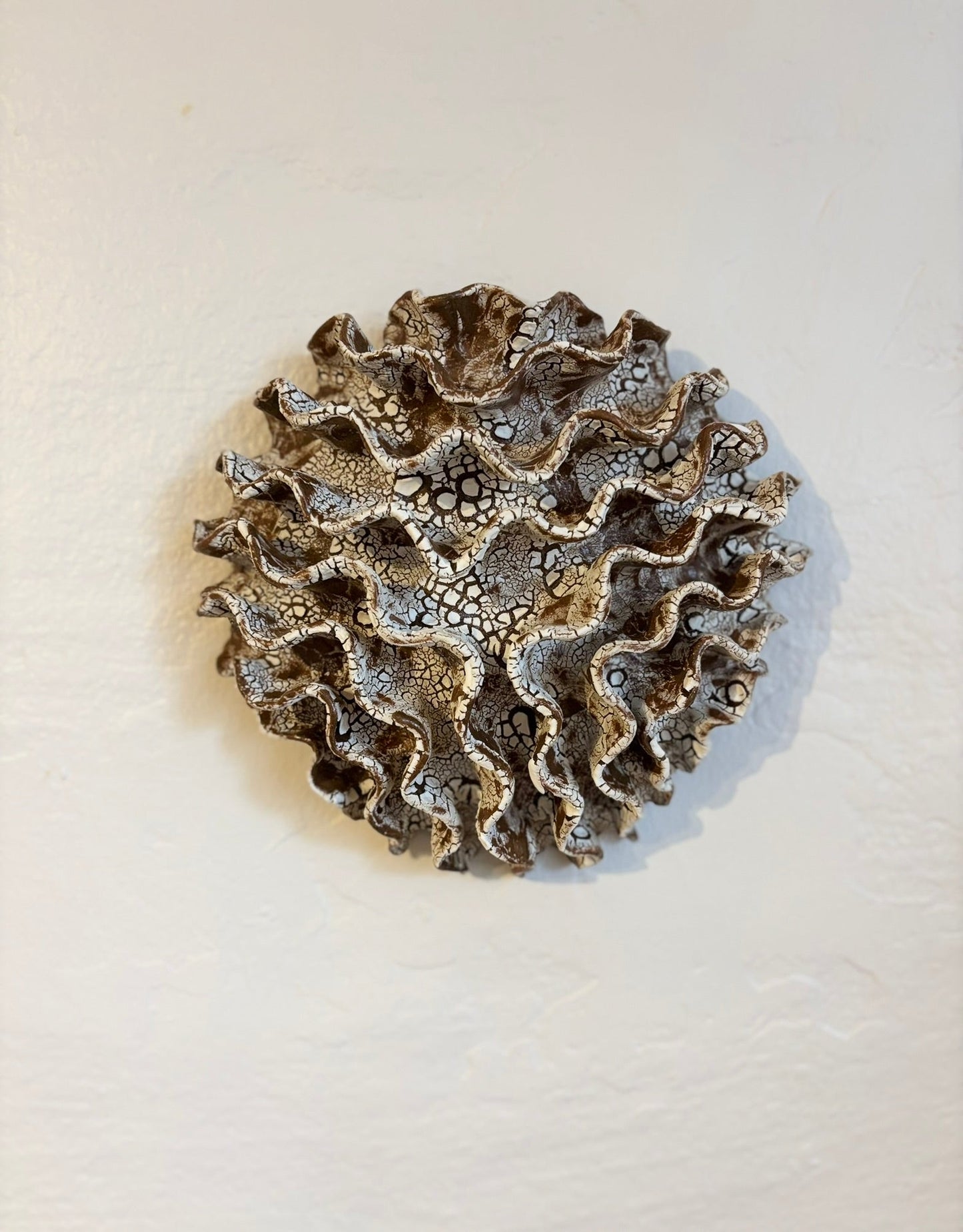 Wall coral no 04270