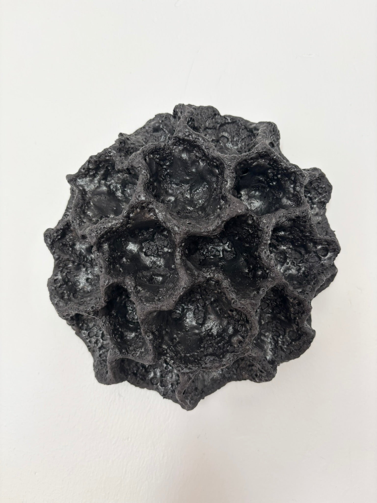 Væg koral no. 04219