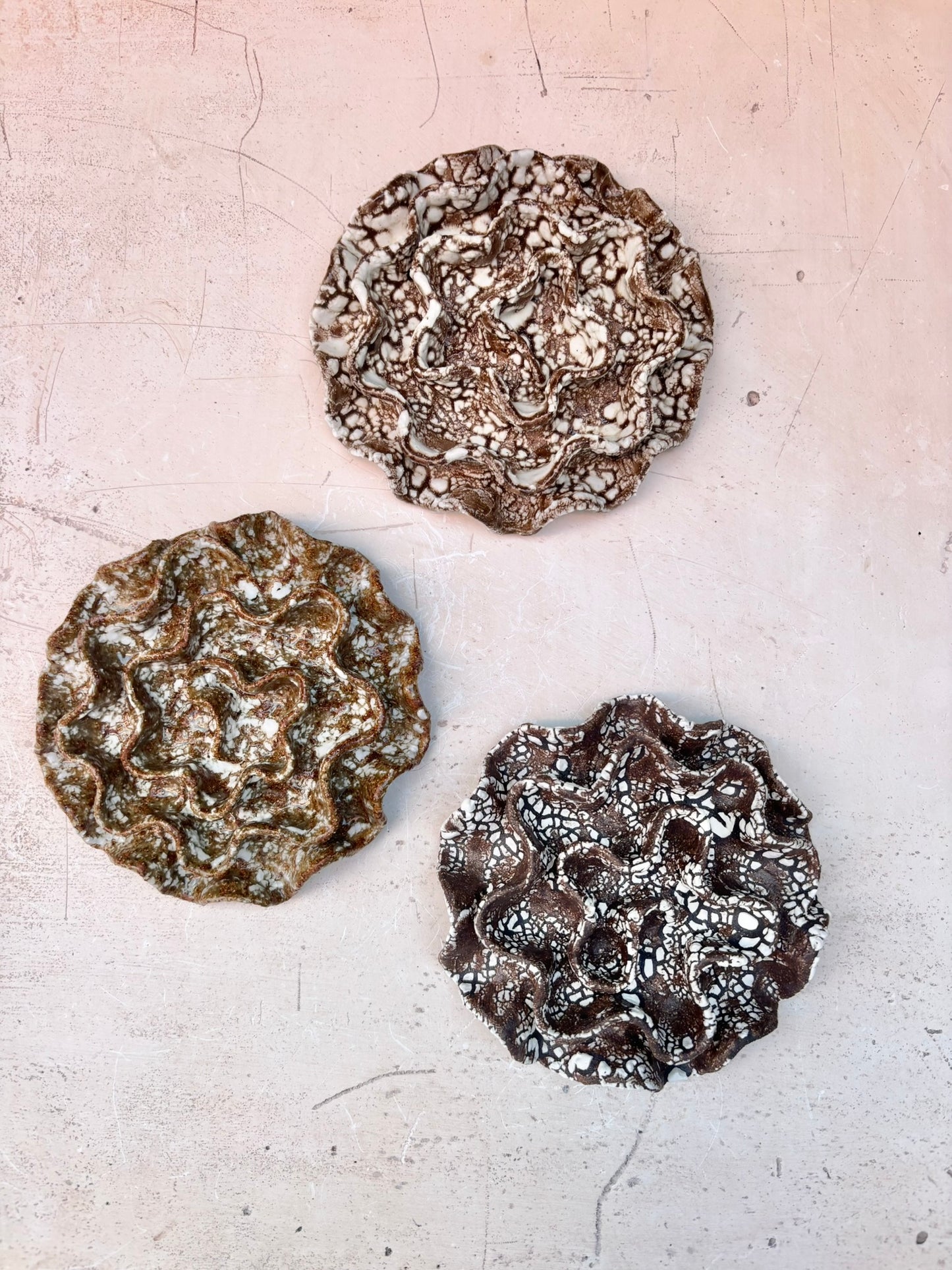 Wall coral no 04260