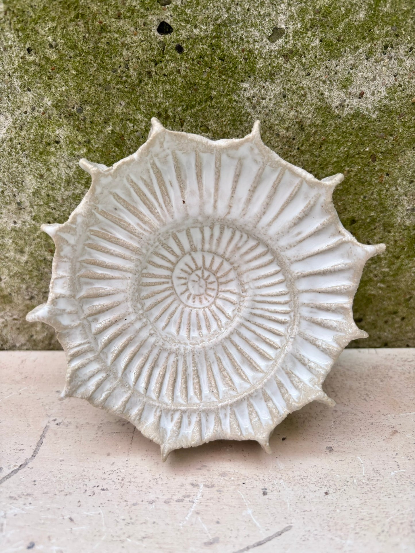 Ammonite no 0573