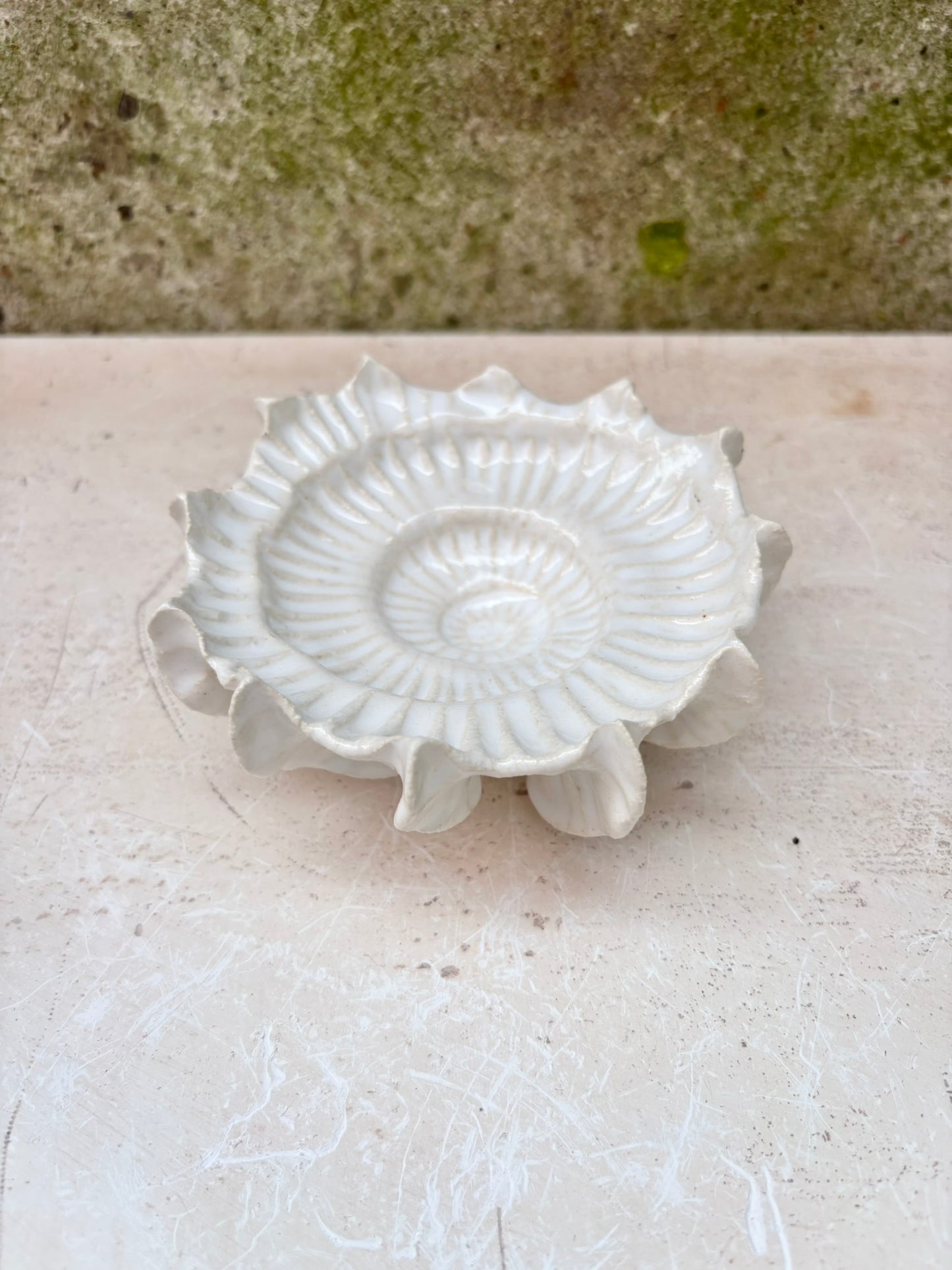 Ammonit nr. 0574