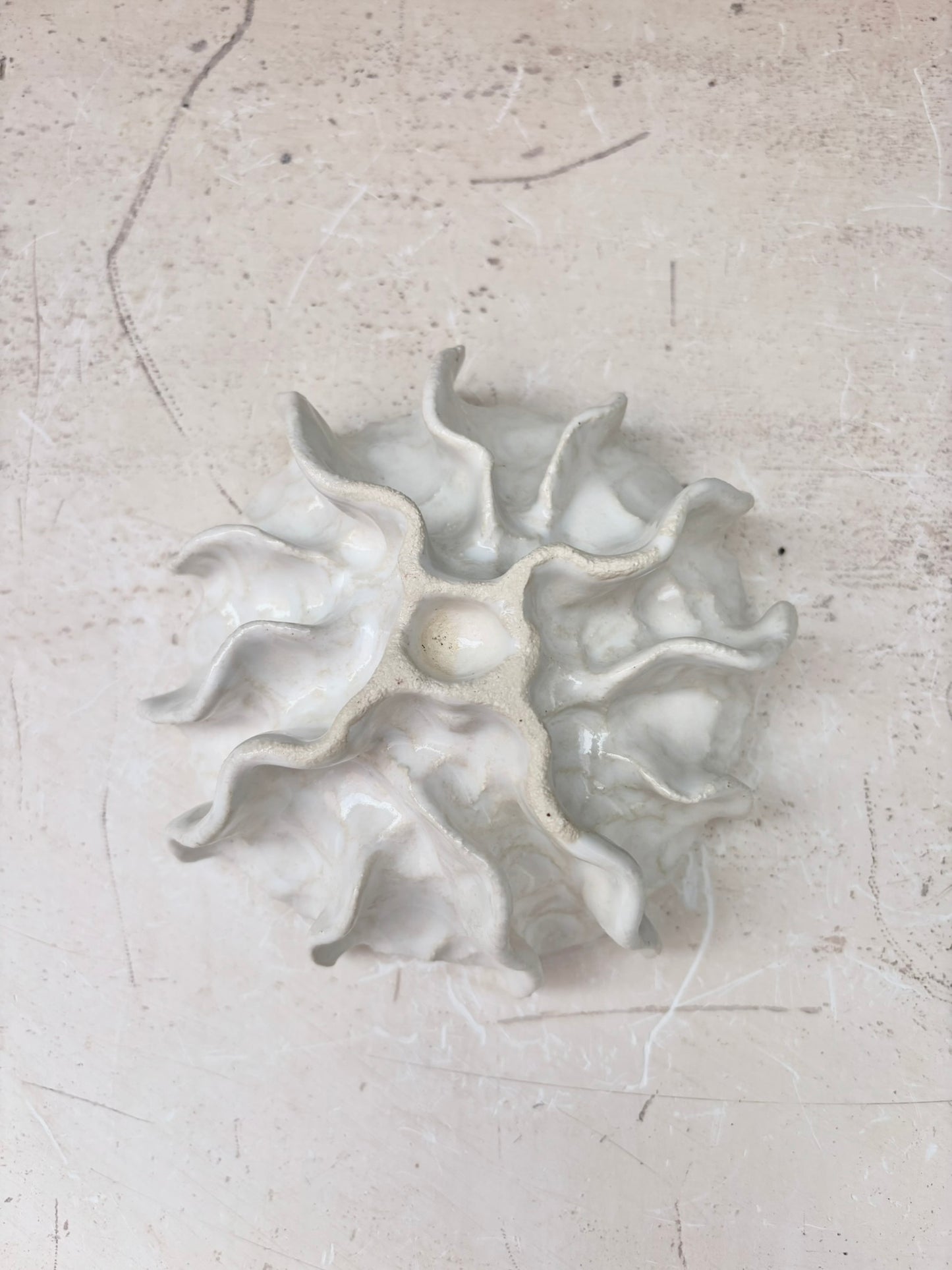 Ammonit nr. 0574