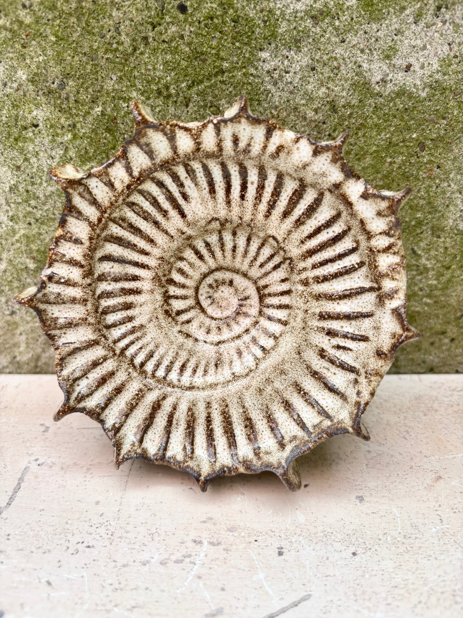 Ammonit nr. 0576