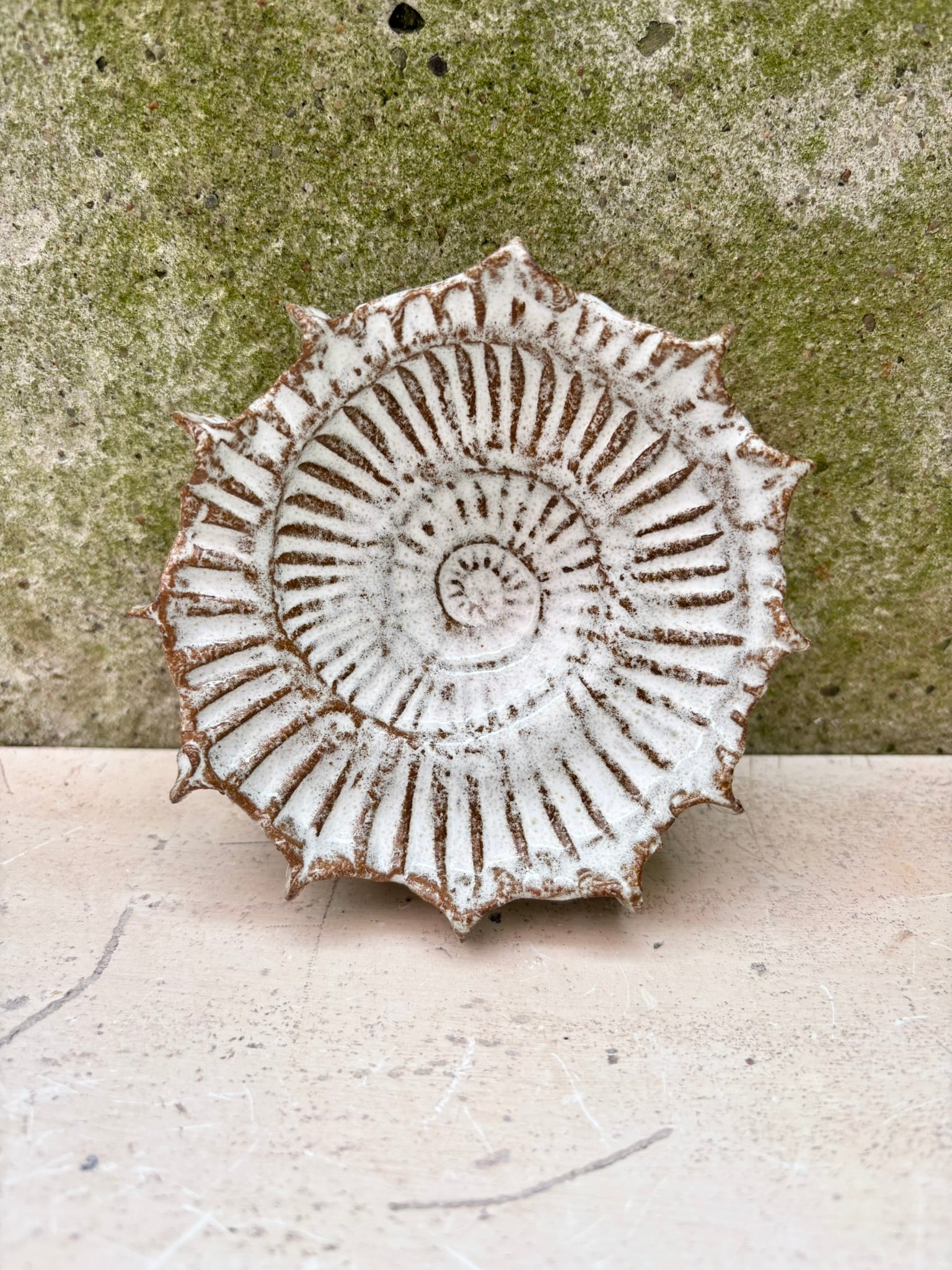 Ammonit nr. 0575