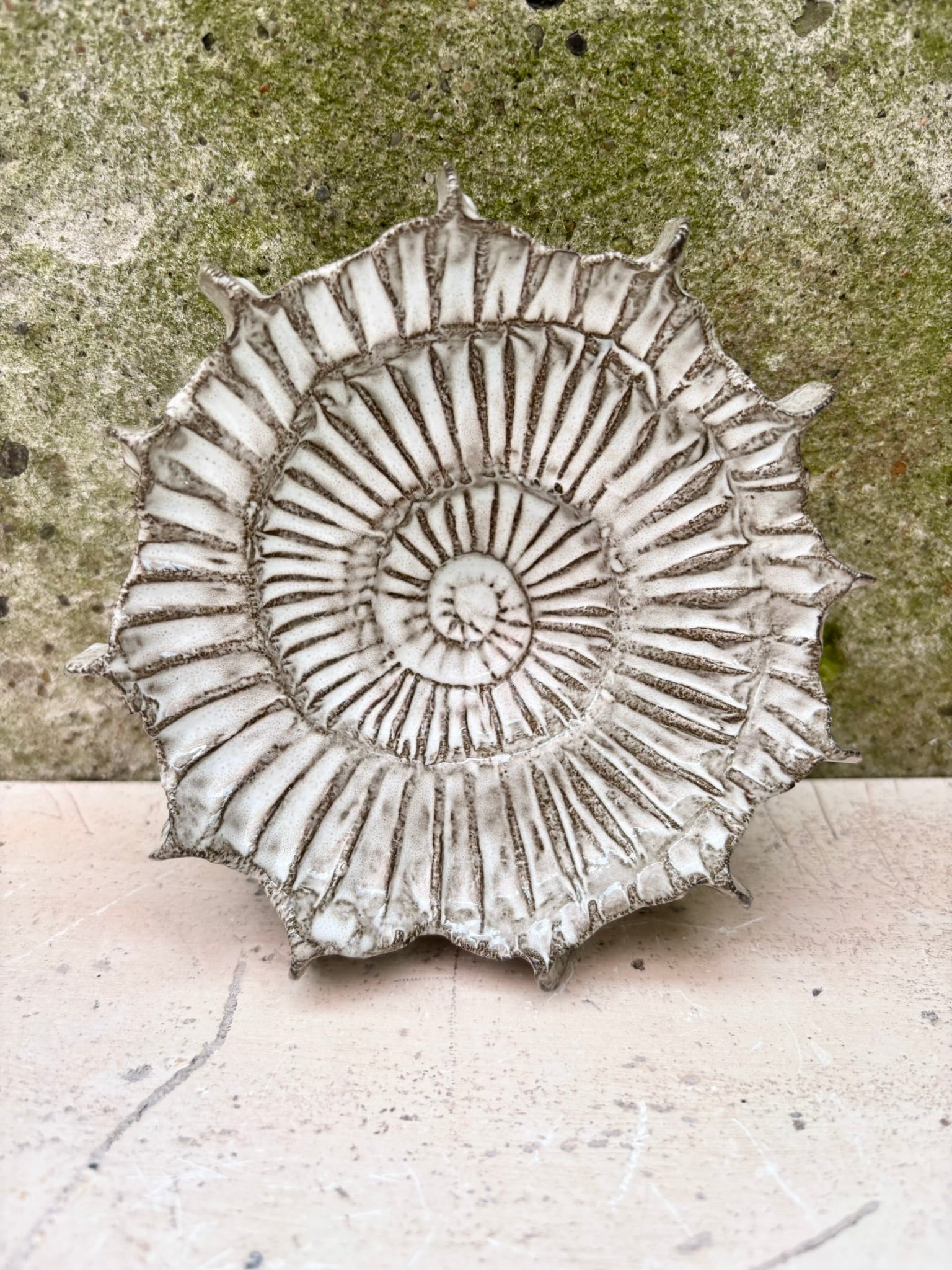 Ammonit nr. 0577