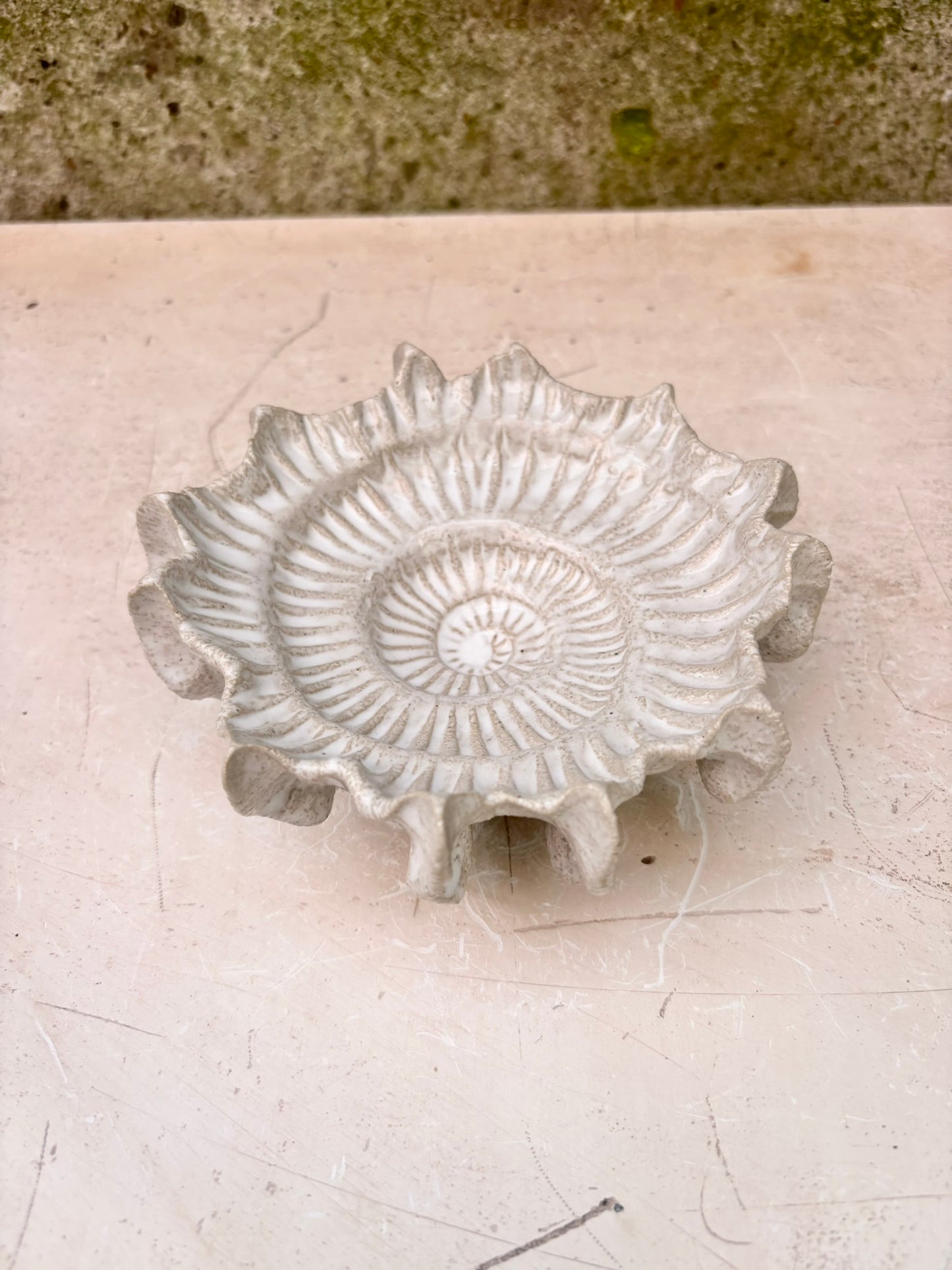 Ammonite no 0578