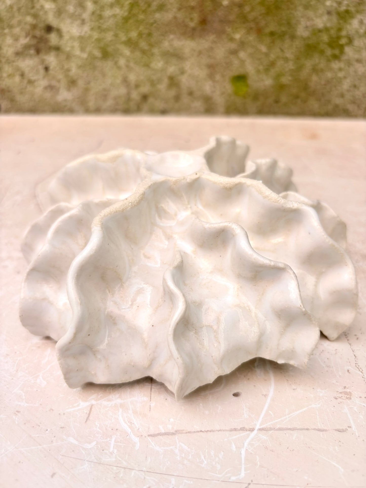 Ammonit nr. 0579