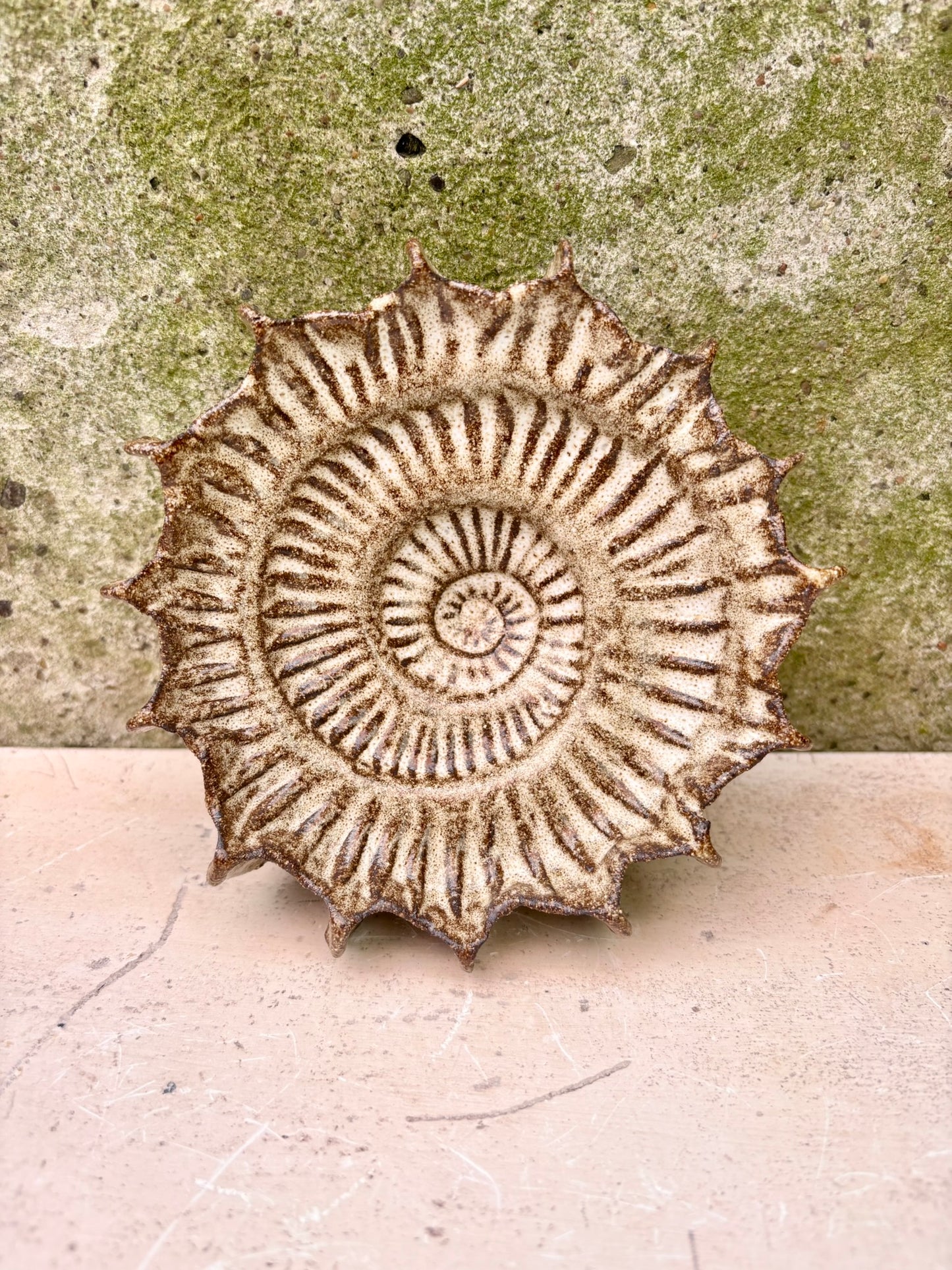 Ammonit nr. 0581