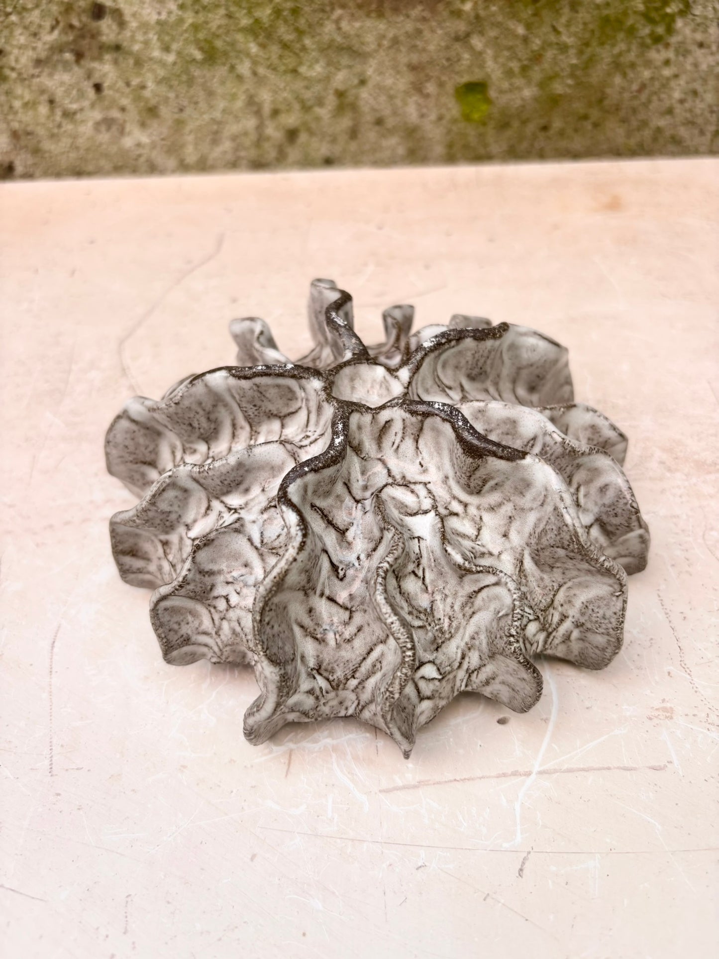 Ammonite no 0582