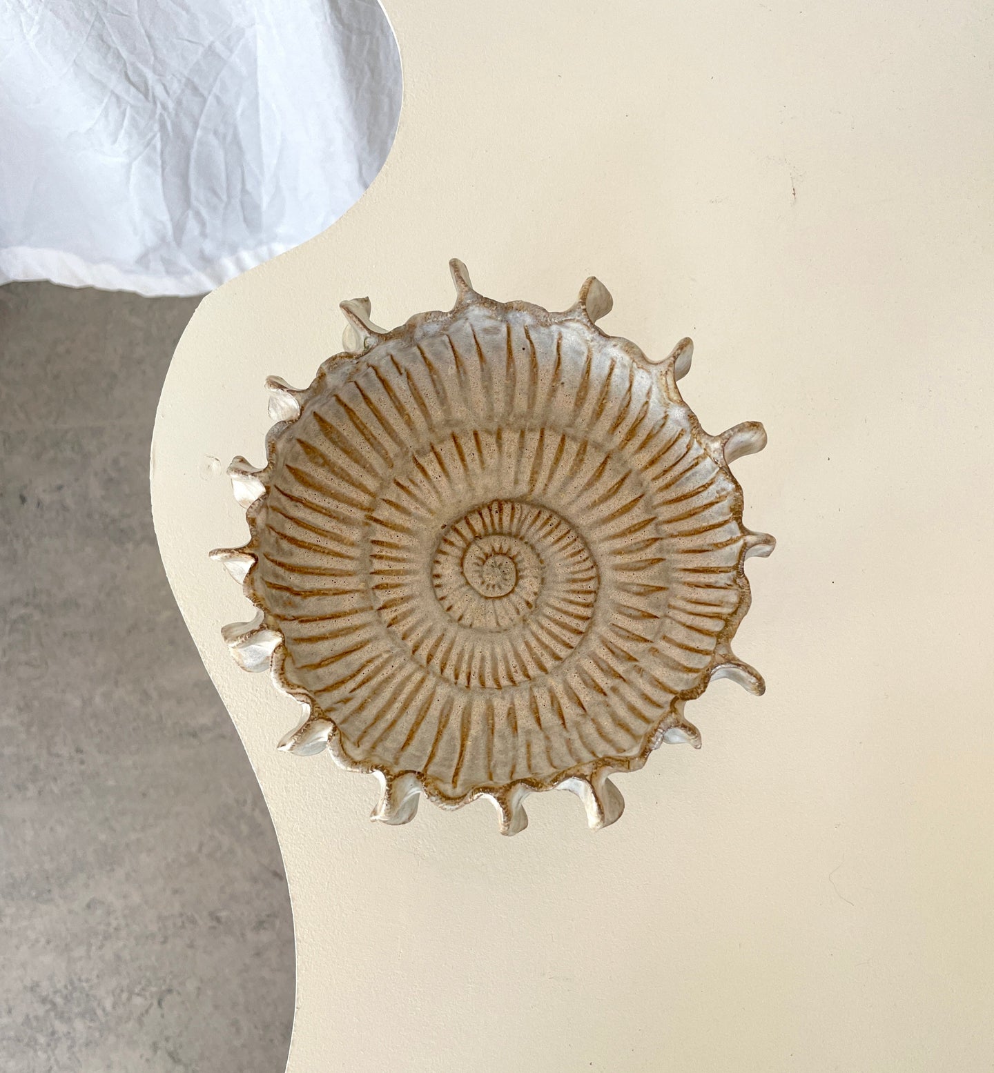 Ammonit no 0513