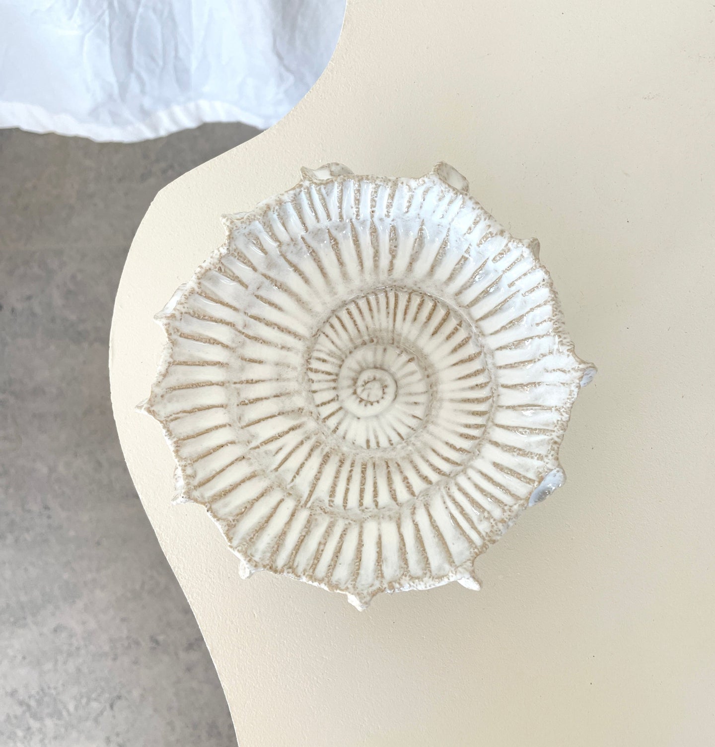 Ammonit no 0514